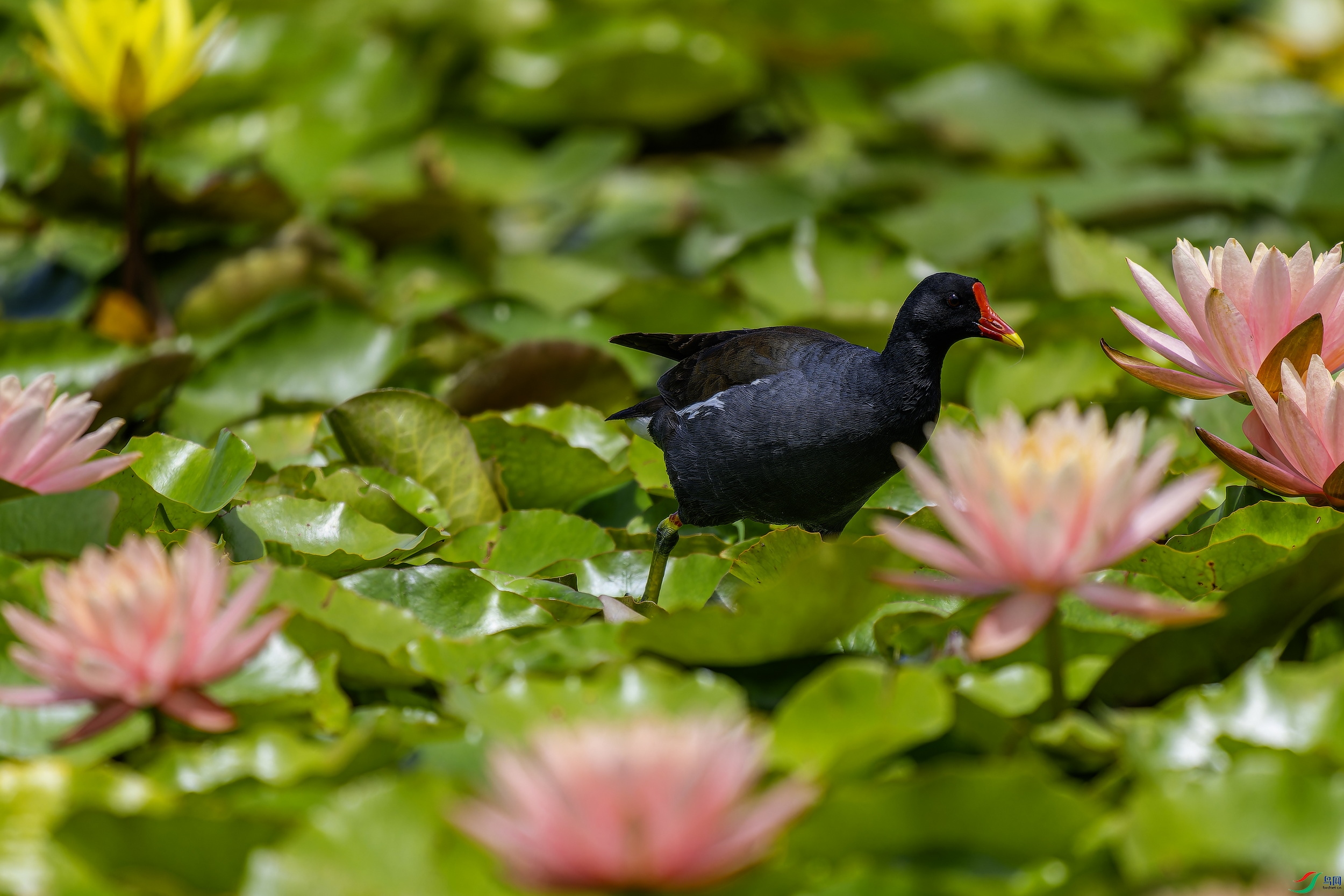 ��ˮ��  (2)-01.jpg