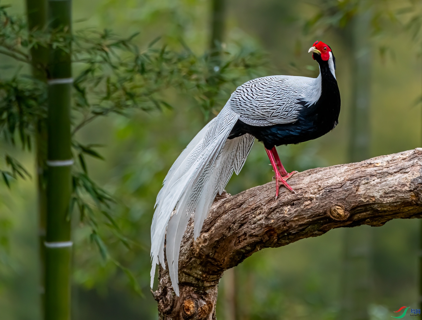 DSC_3170-11.jpg