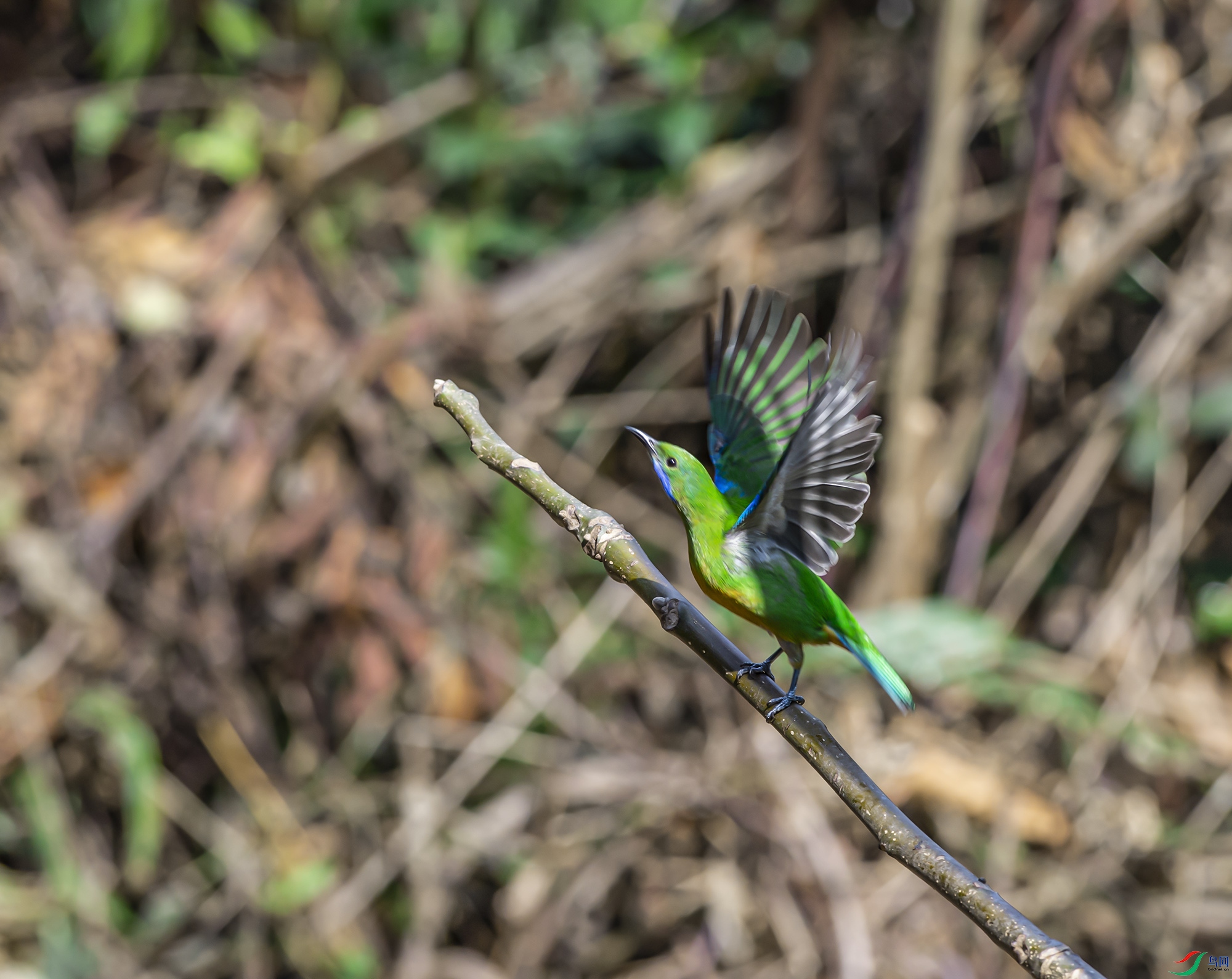 DSC_5800.jpg