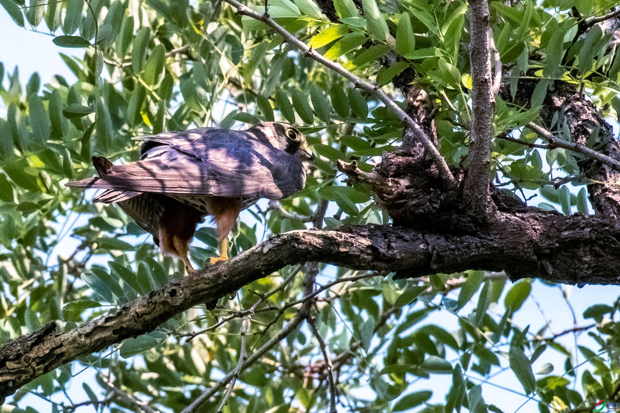 DSC_0131.jpg