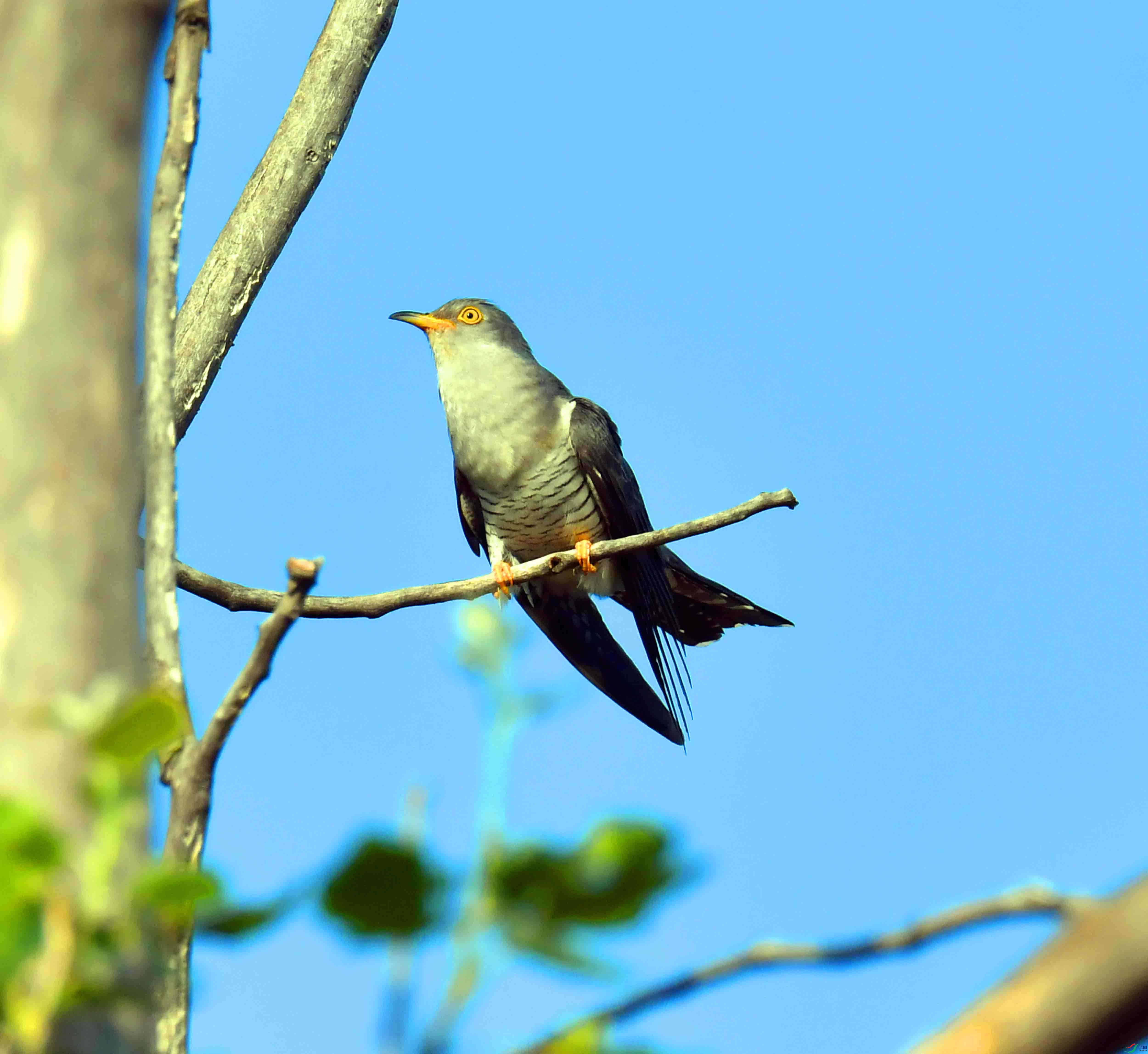DSC_4846.JPG