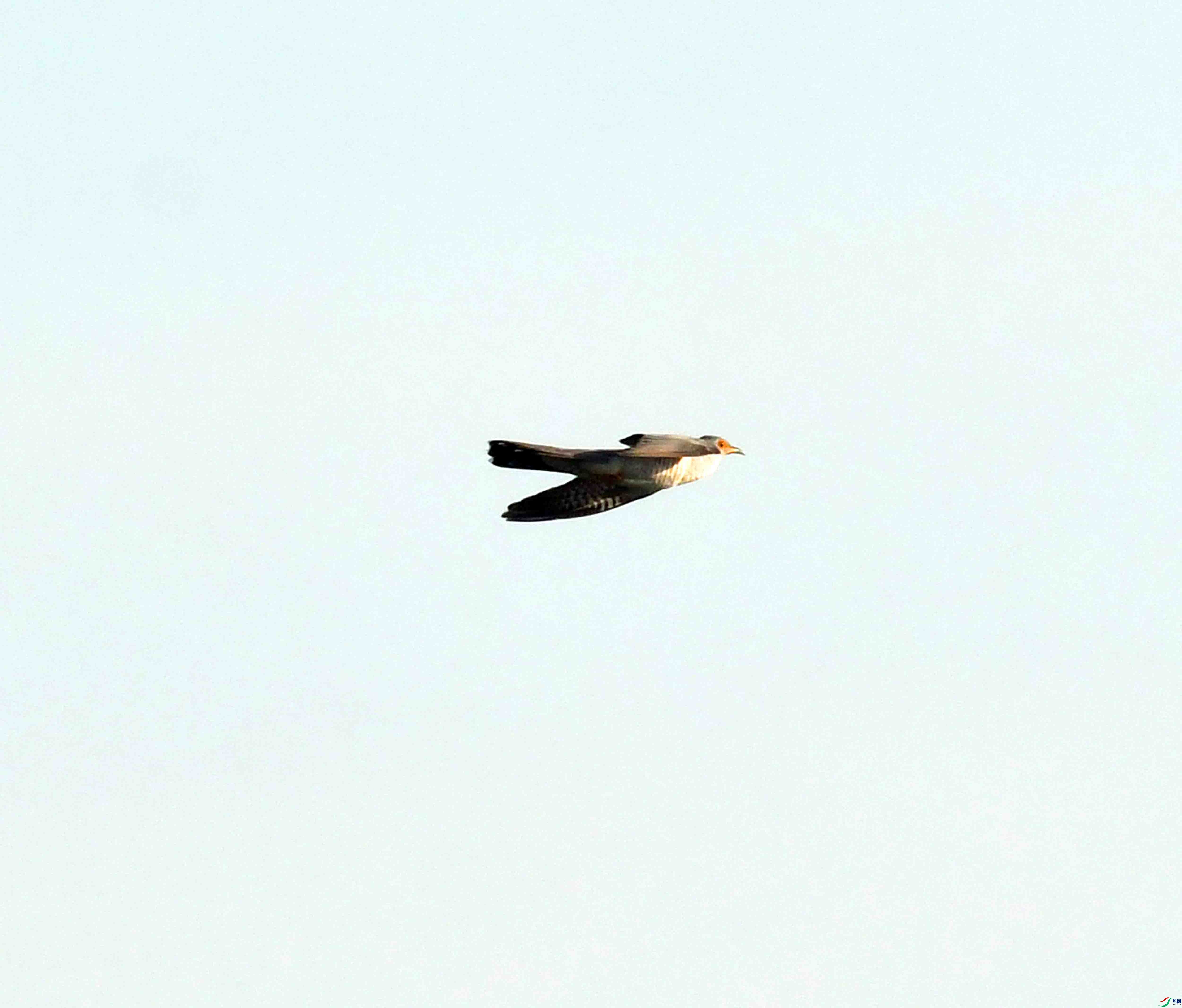 DSC_6247.JPG
