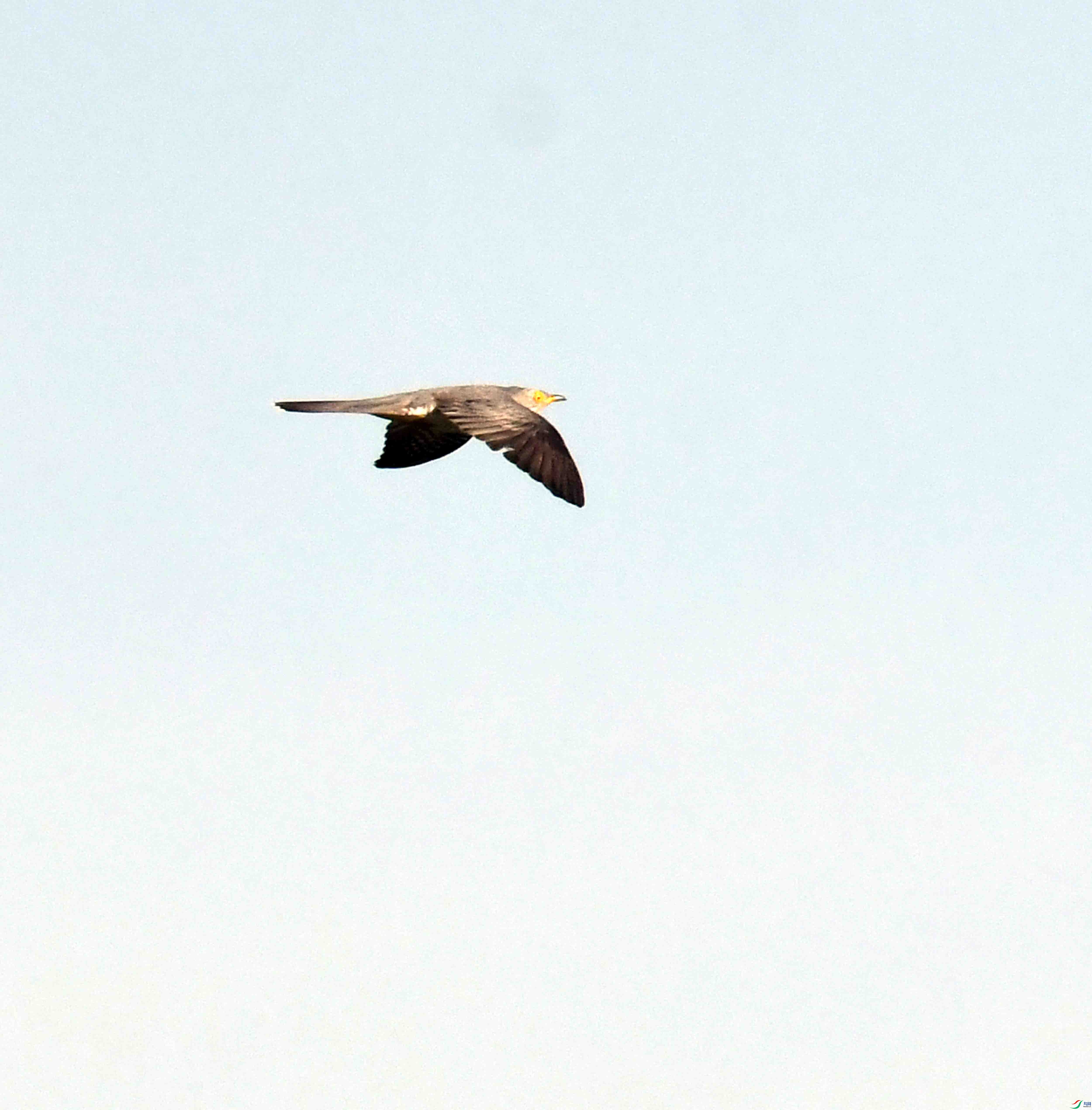 DSC_6321.JPG