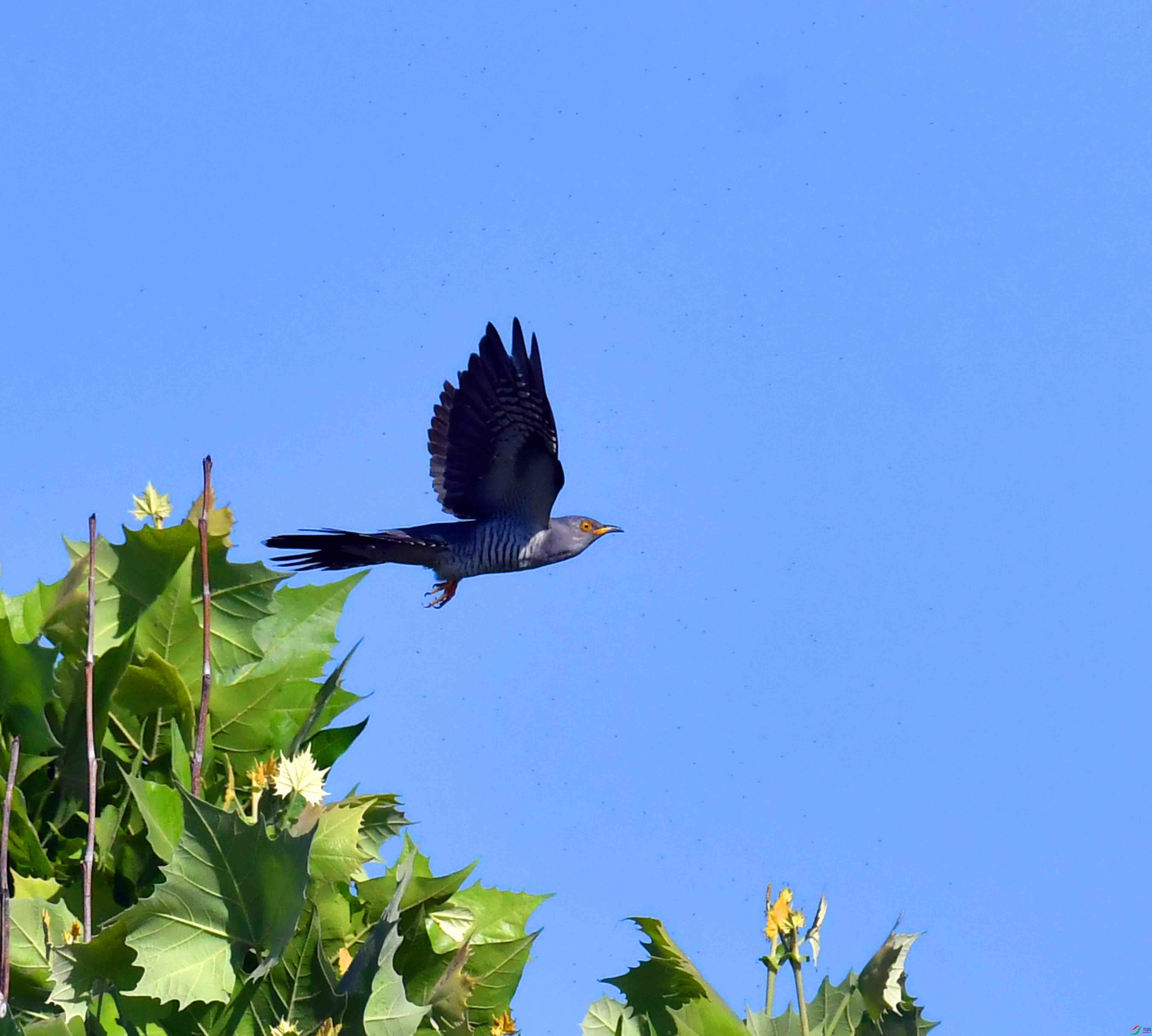DSC_6379.JPG