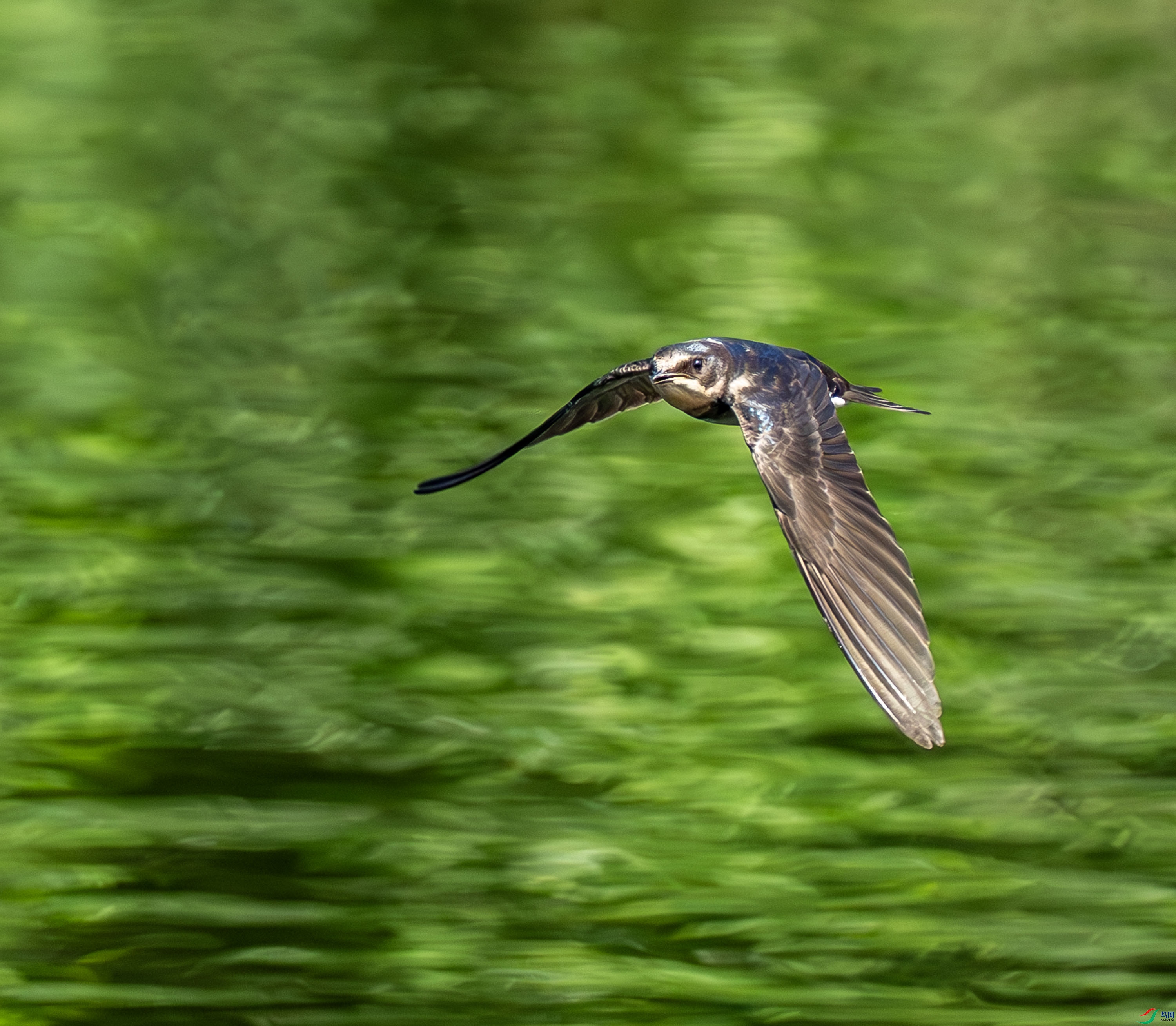 ����-1 (2).jpg