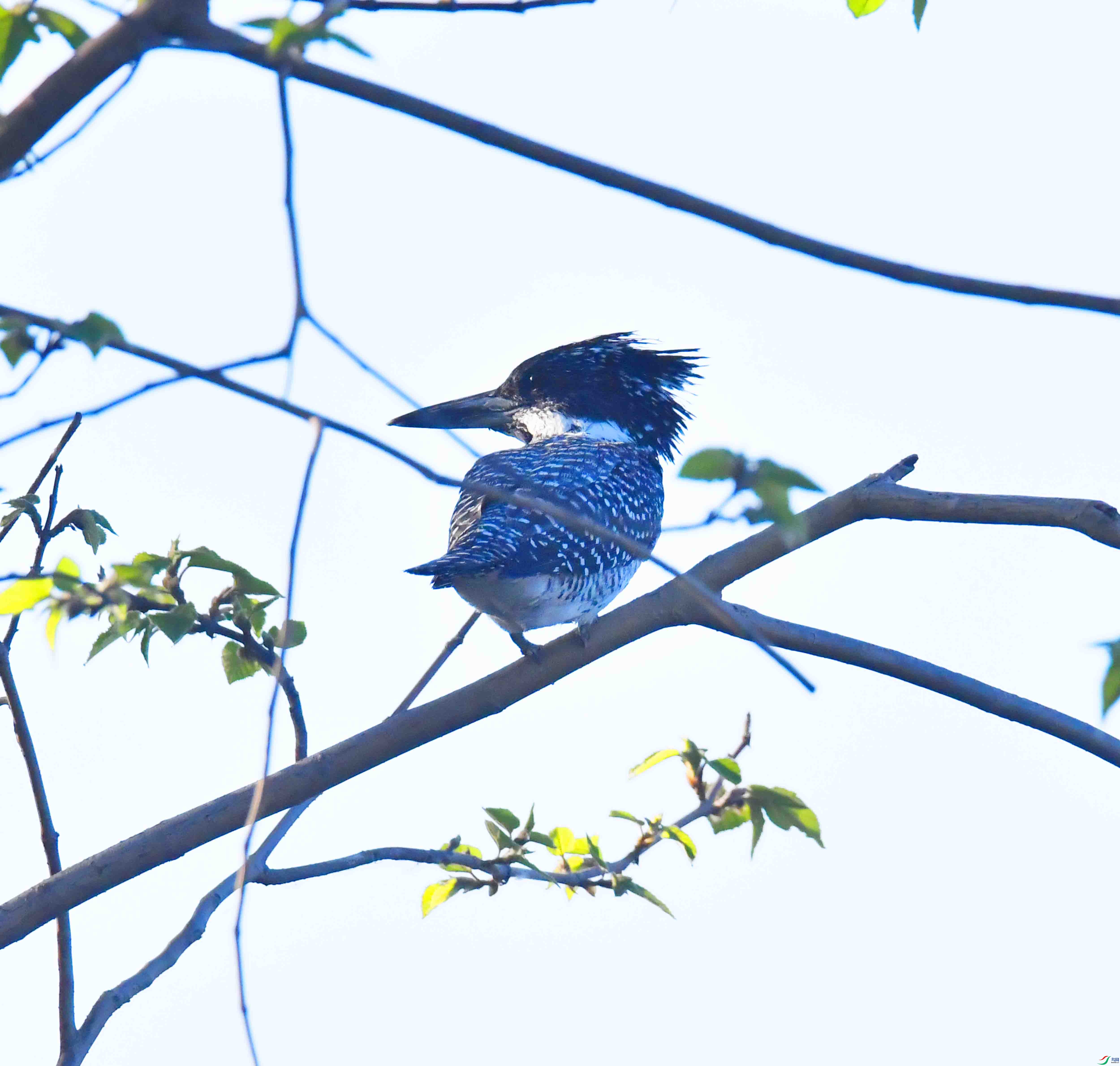 DSC_4982.JPG