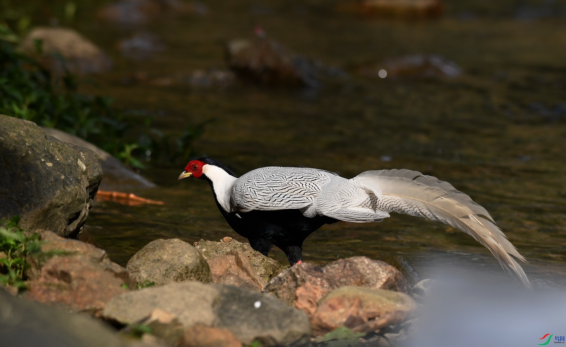 DSC_7298.jpg