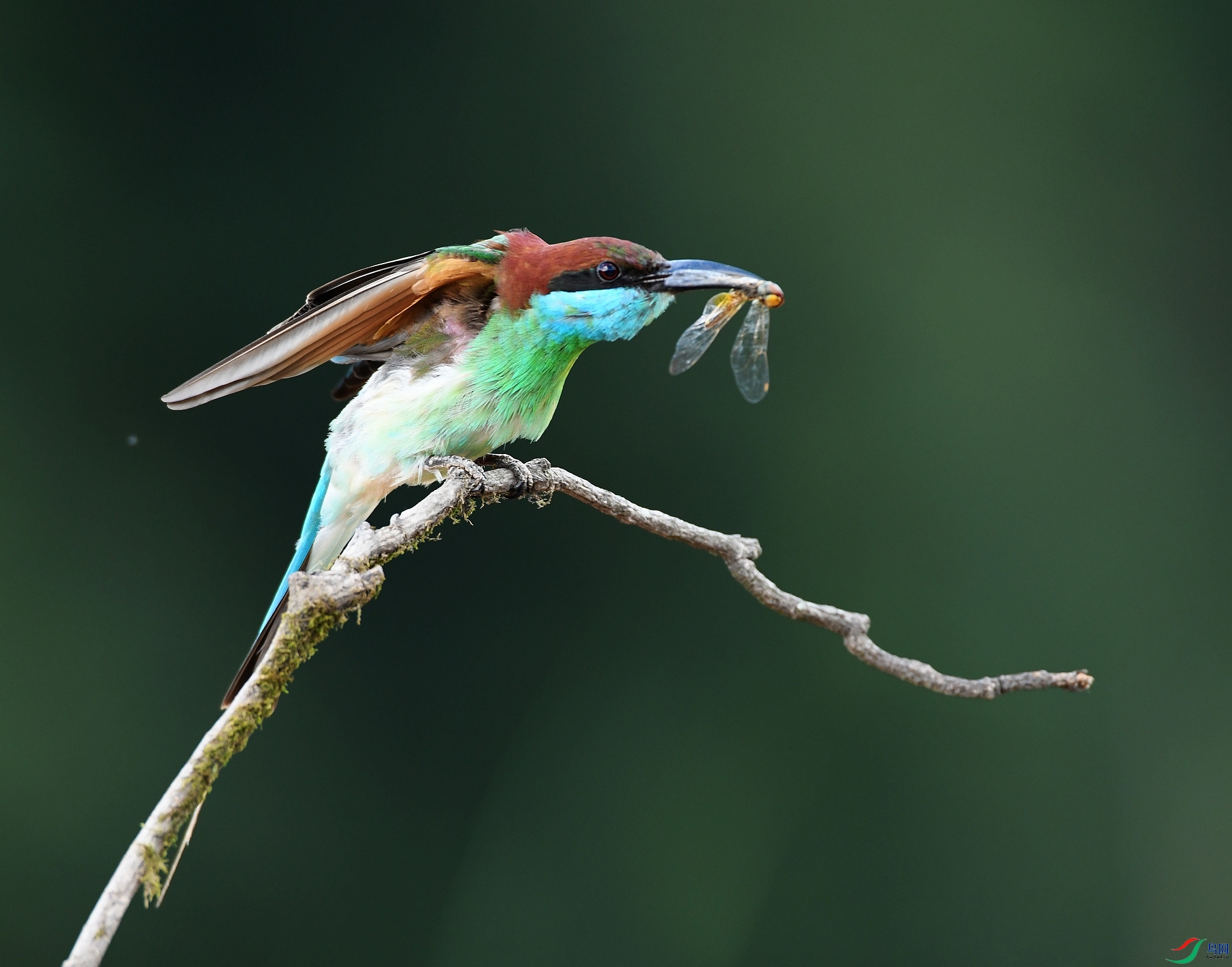 DSC_6451.jpg