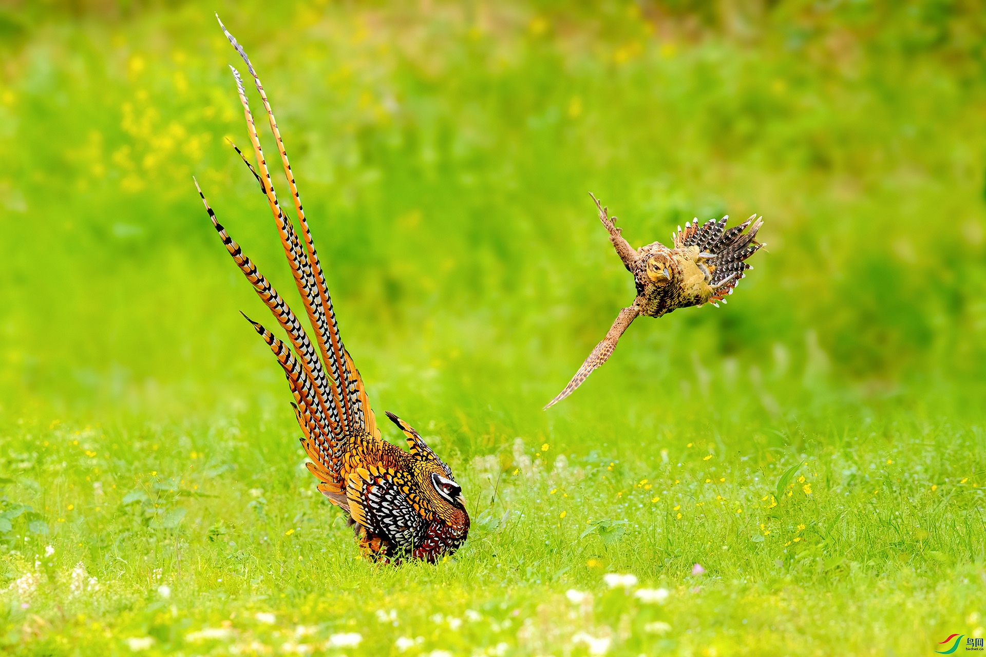 CJ6I3209-8.jpg