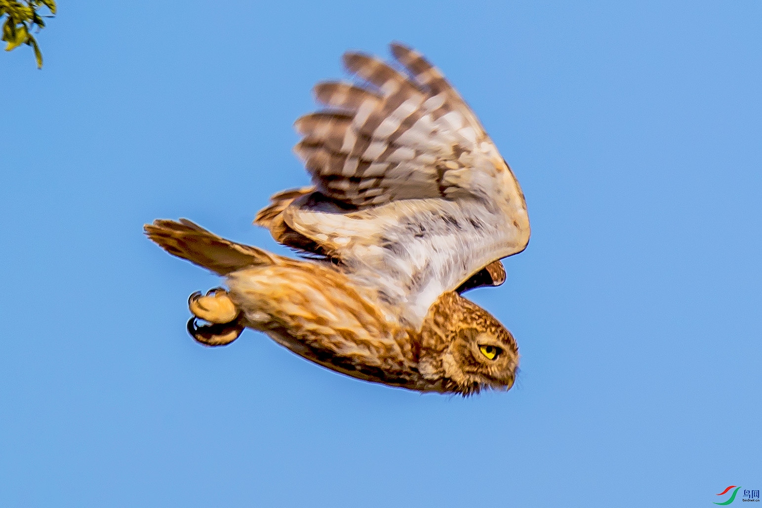 _90I6810 ����.jpg