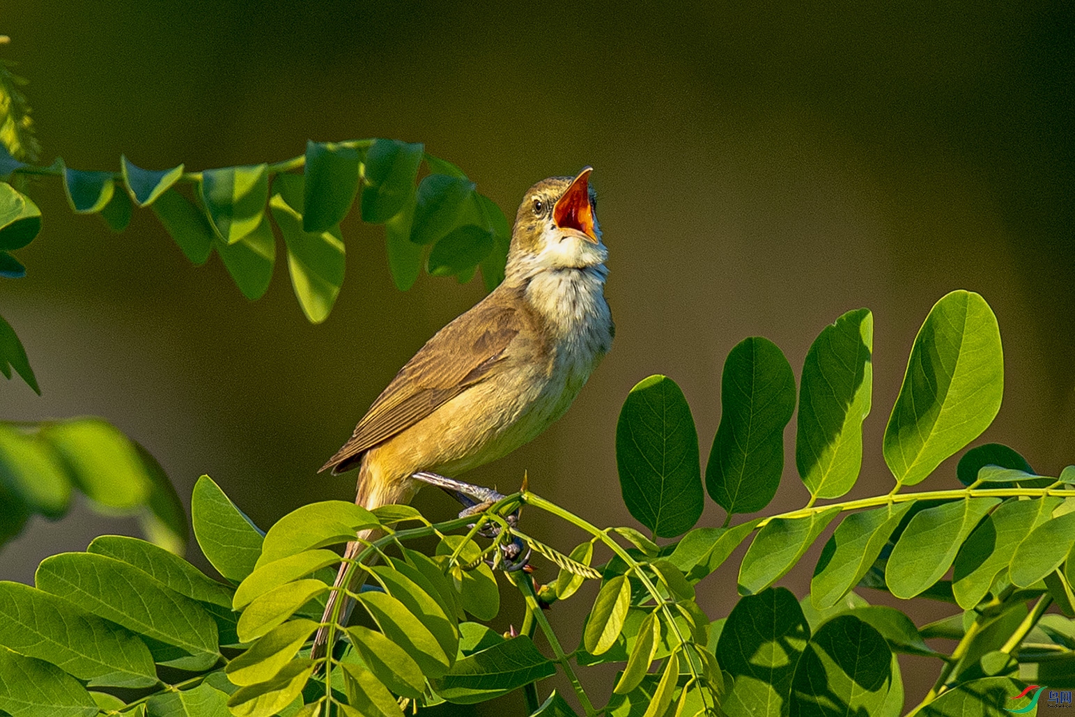 _90I0028 ����.jpg