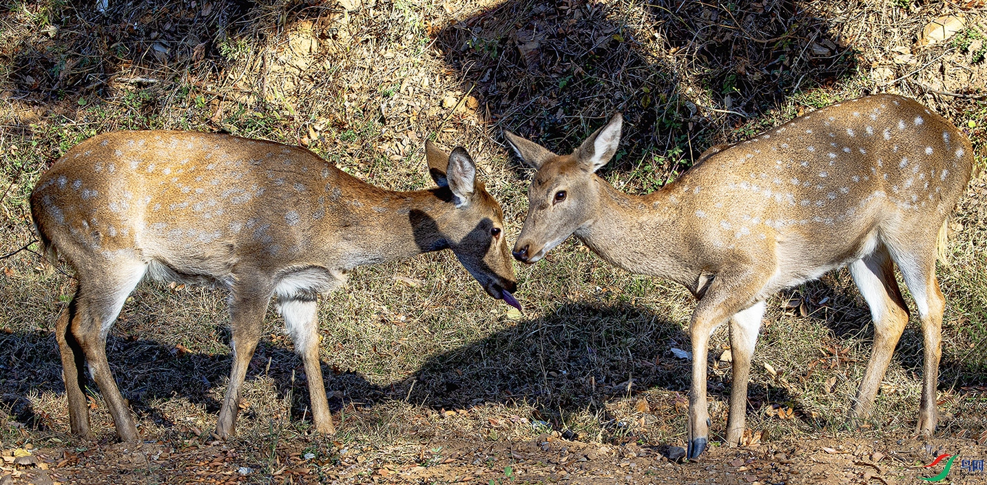 _MG_4232 ���� 2.jpg