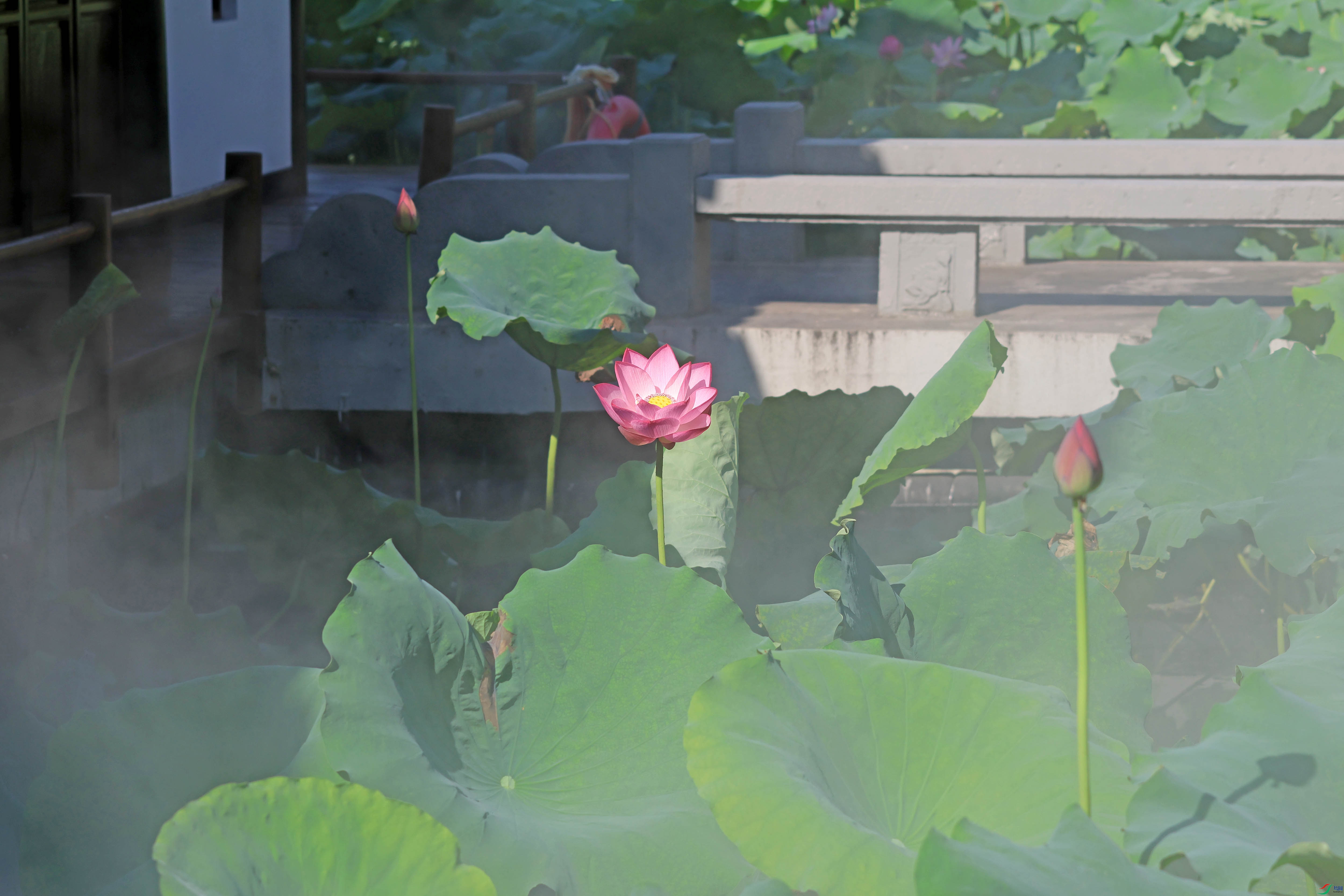 2G9A6588.JPG