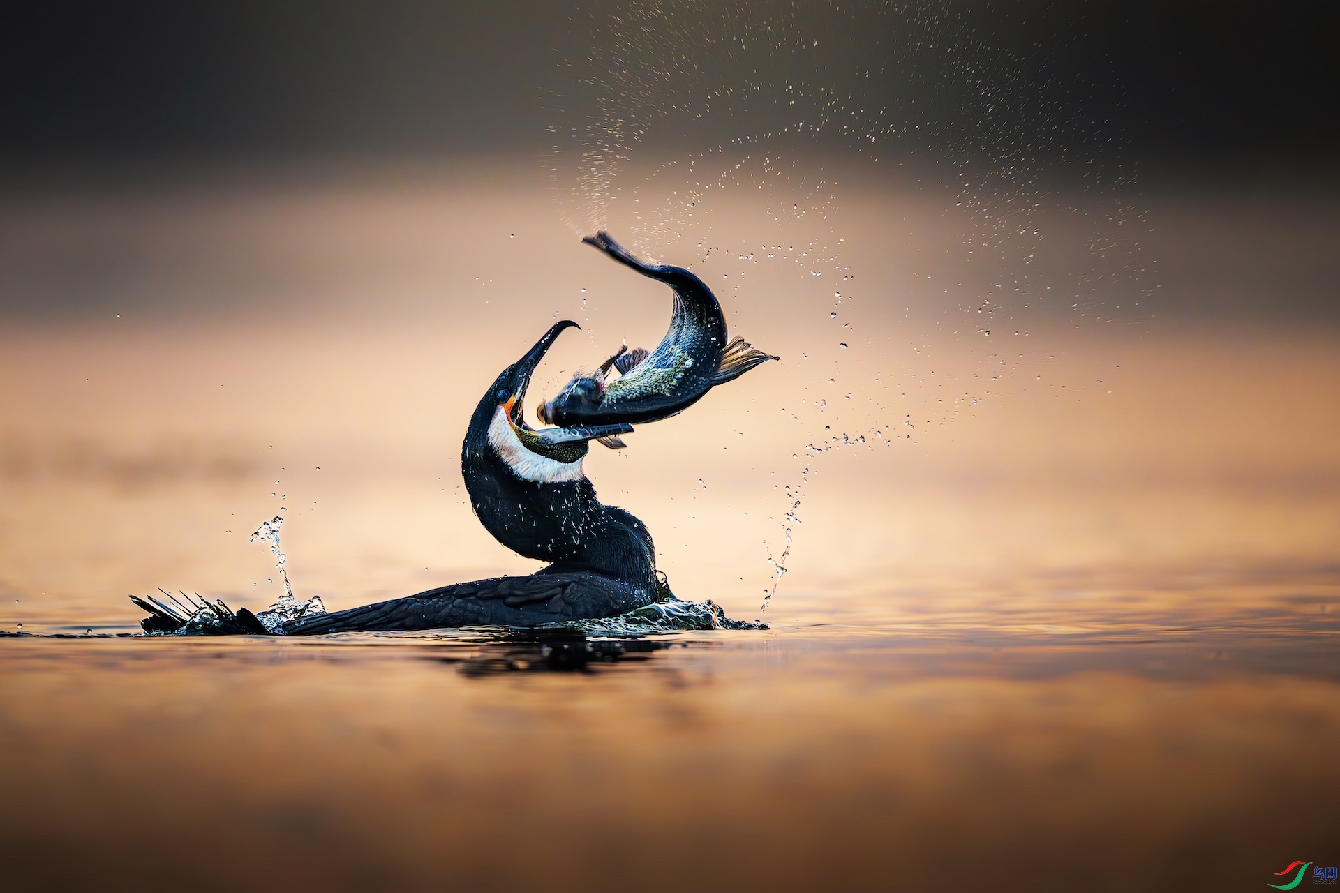 _XXL0952-����ǿ-NR-1 2.jpeg