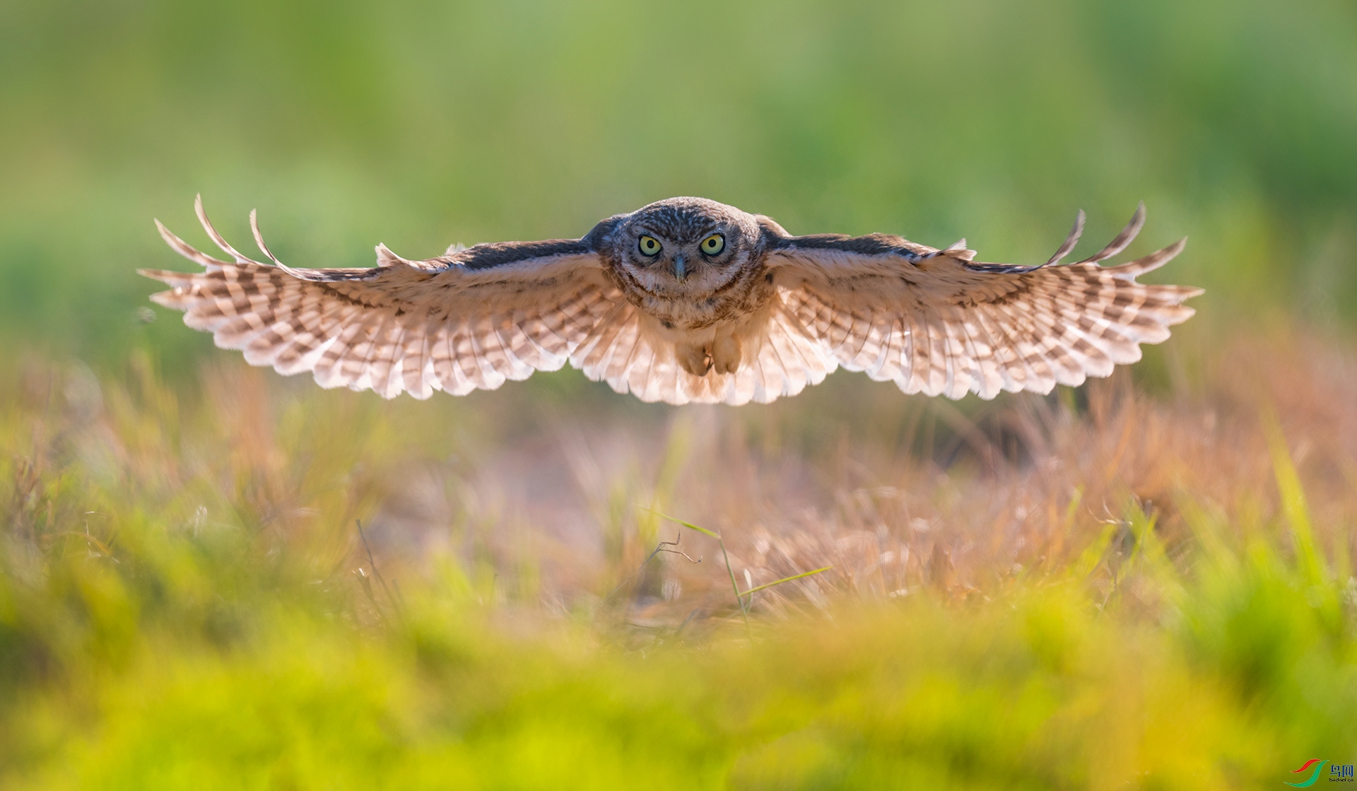 ���Ƹ�С�^