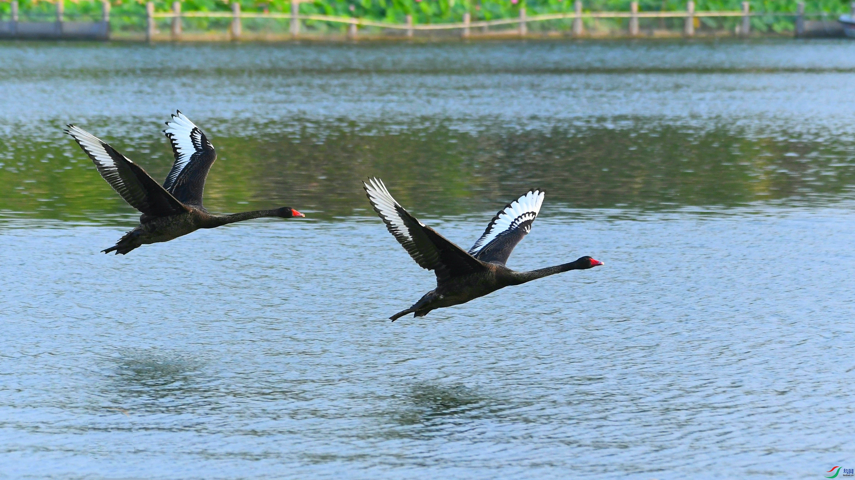 DSC_1076.JPG