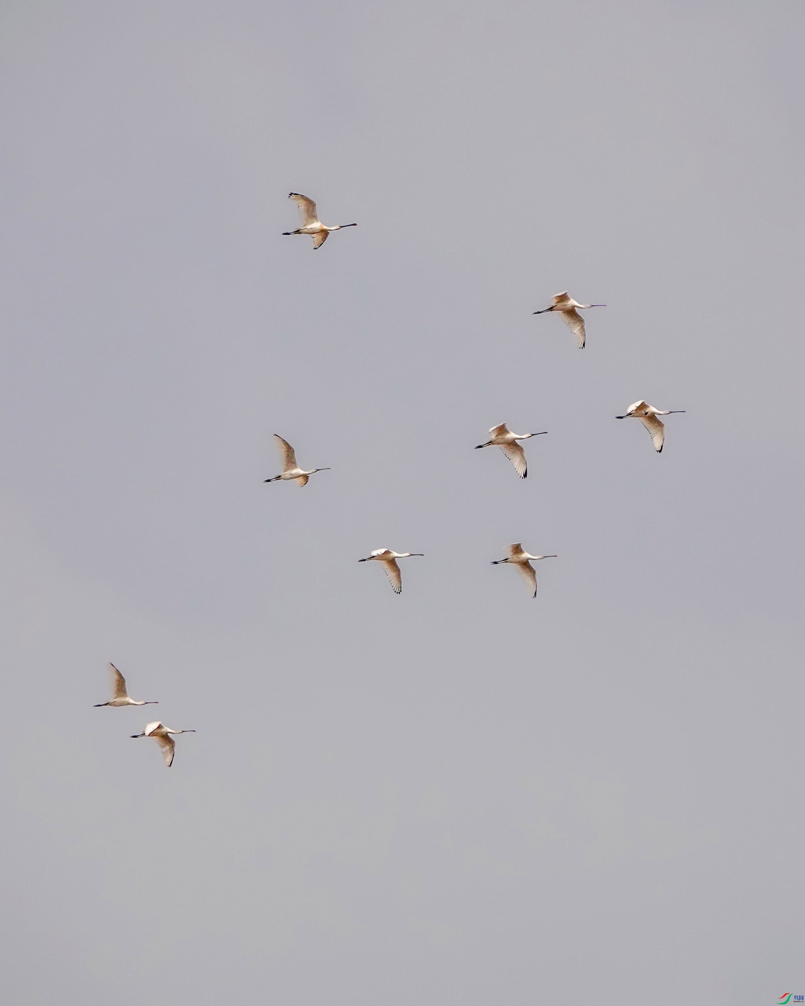 DSC02178.JPG