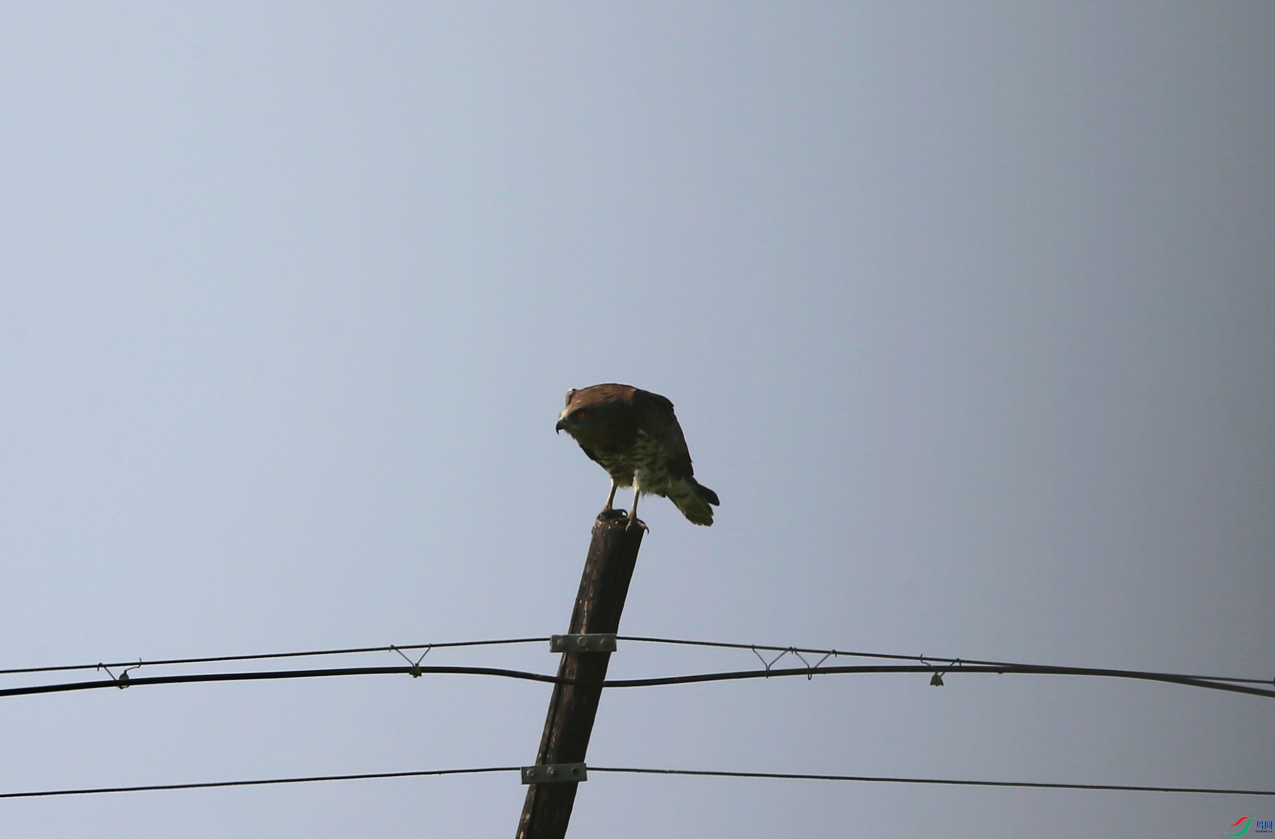 ��ֺ�� (8).JPG