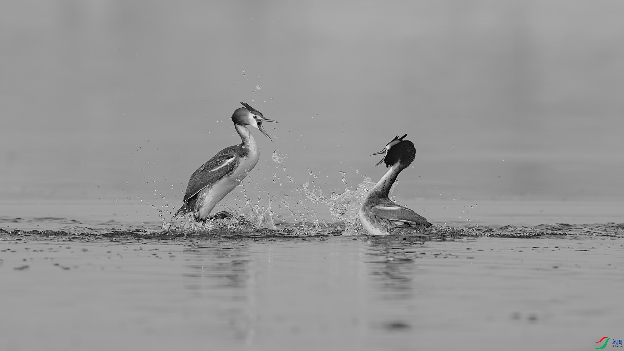 ABDSC06697 ����H.jpg