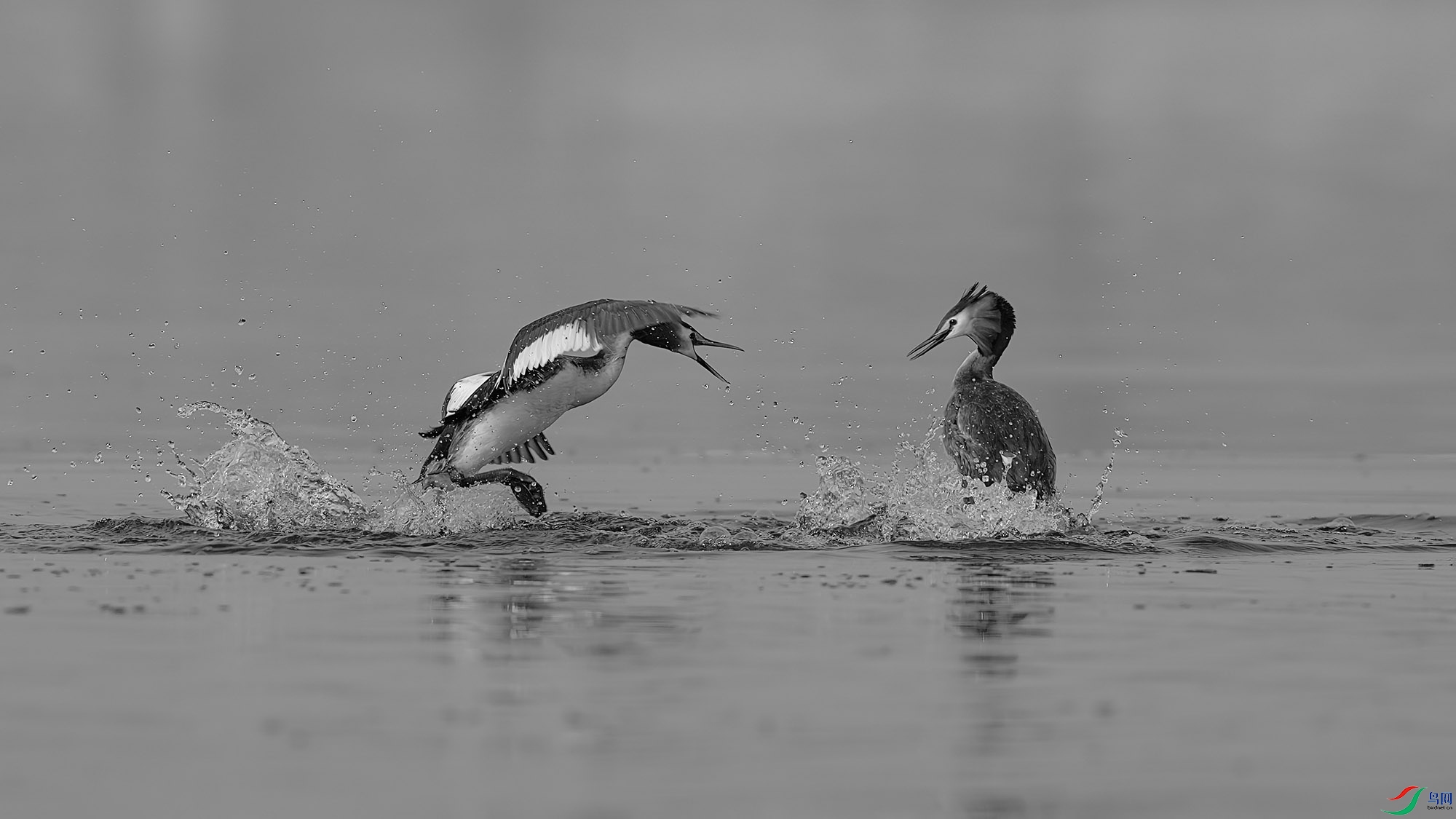 ABDSC06701 ����H.jpg