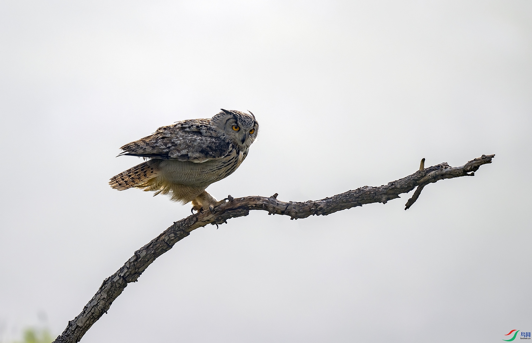 DSC_0229_����.jpg