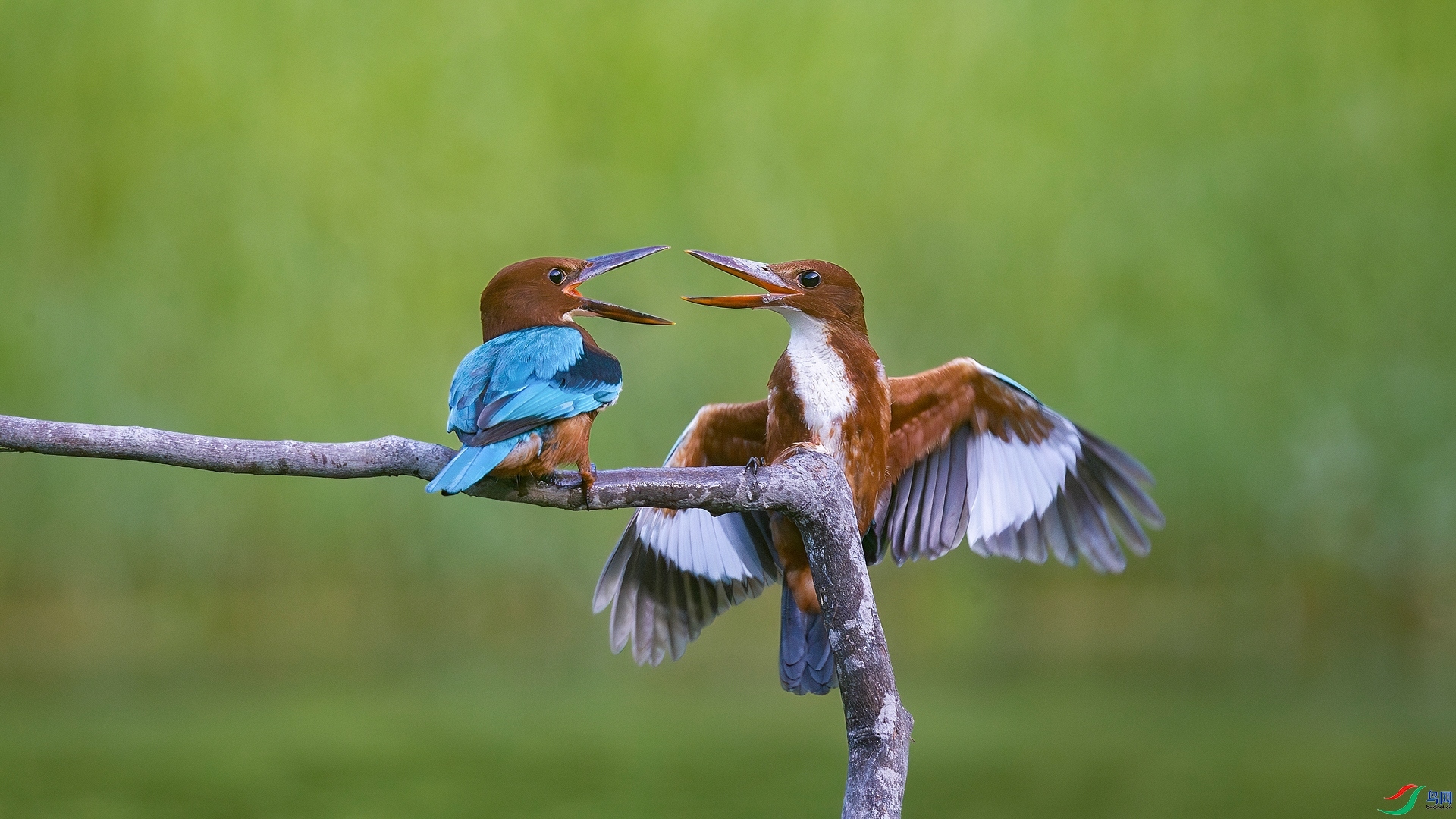 7.17Դ����Ȼ��ʦ��Ʒ  ���ֵܷ�Ŀ����ף���ٻ����������.jpg