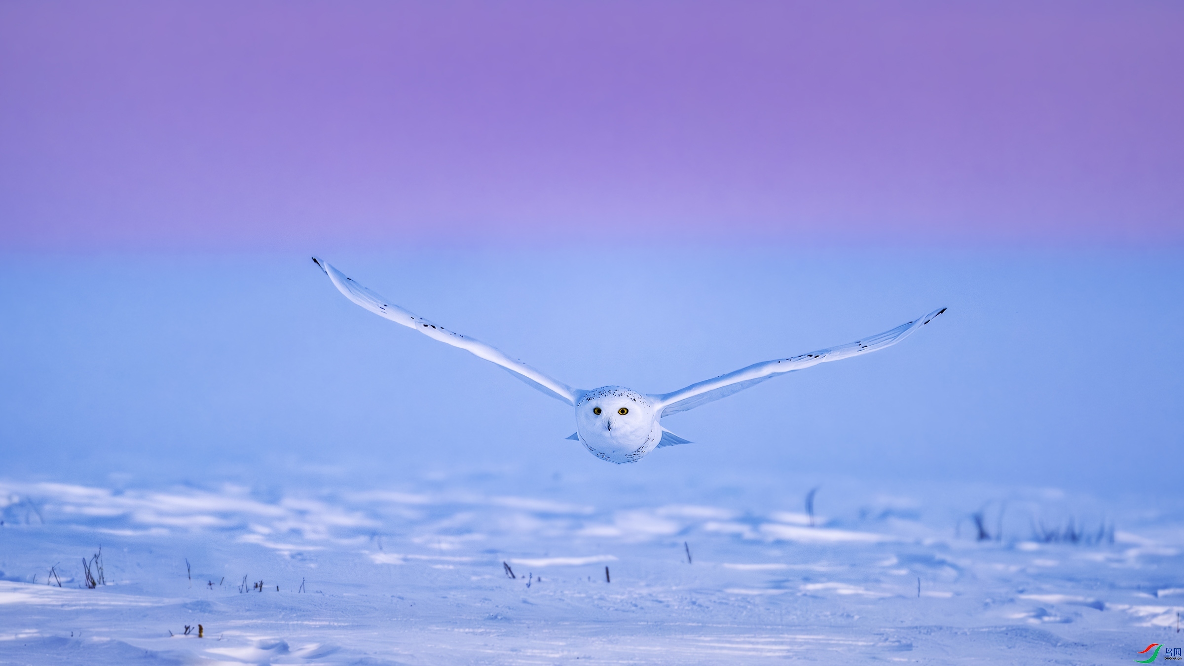 7.18����������ʦ��Ʒ   ϼ�����  ��ף���ٻ����������.jpg