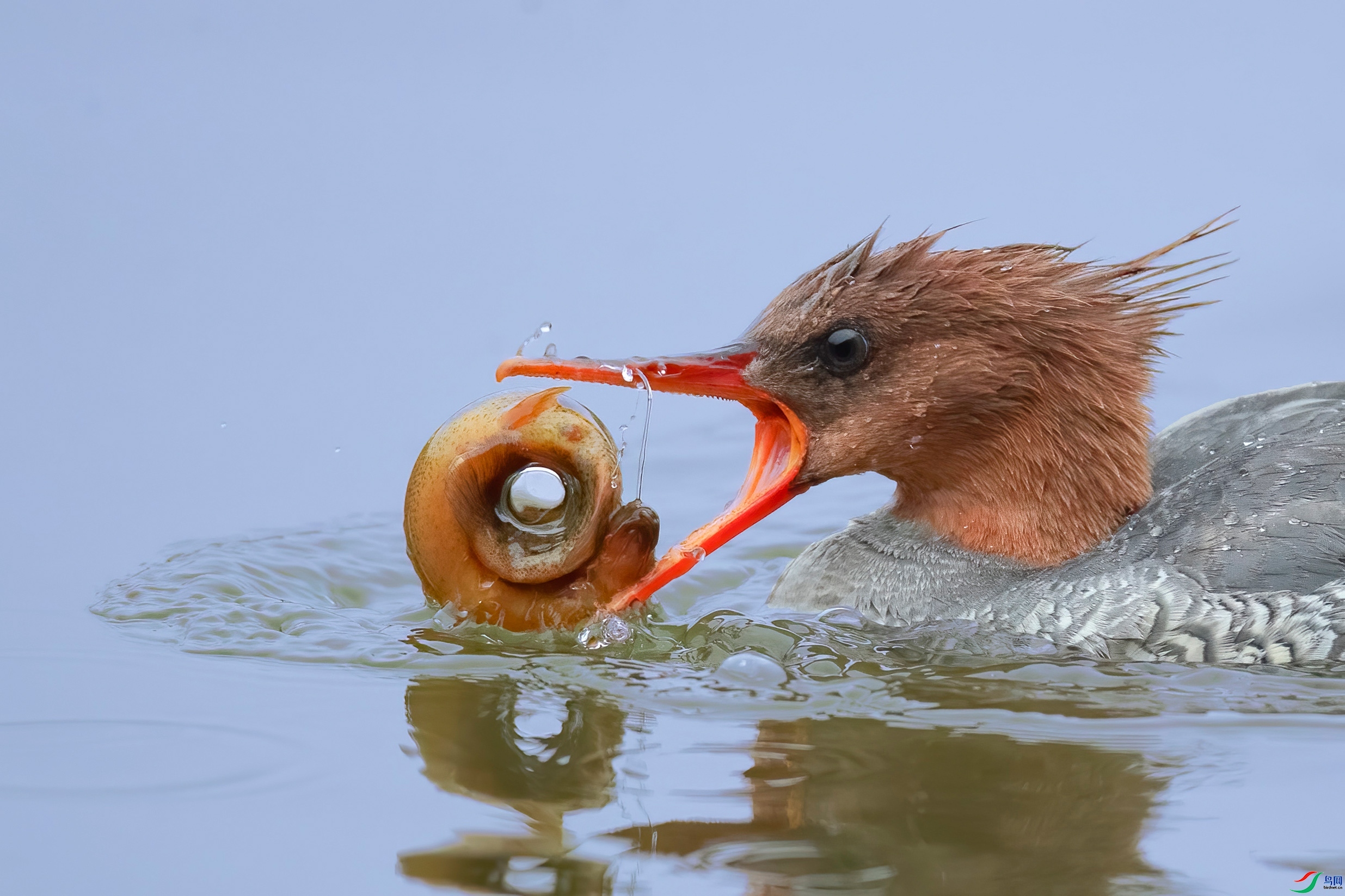 7.21��Ұ������ʦ��Ʒ   ���¿� ��ף���ٻ���Ӱʦ������.jpg