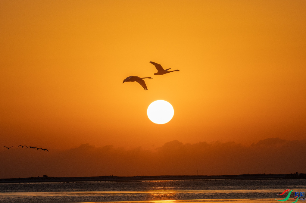 �ճ��������ٻ���Ӱʦ��������̨��ӥ 25.png