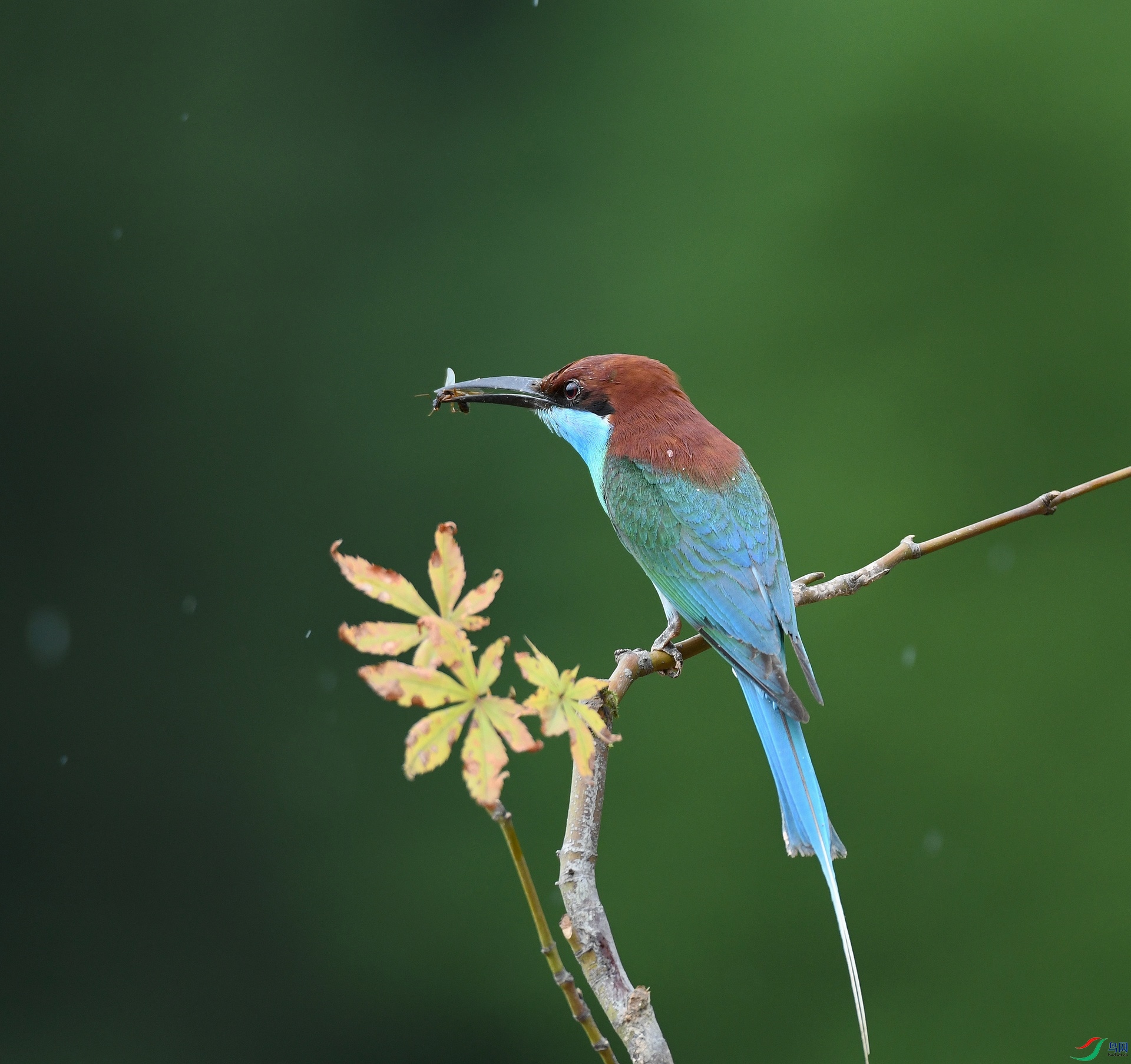 DSC_3595.jpg