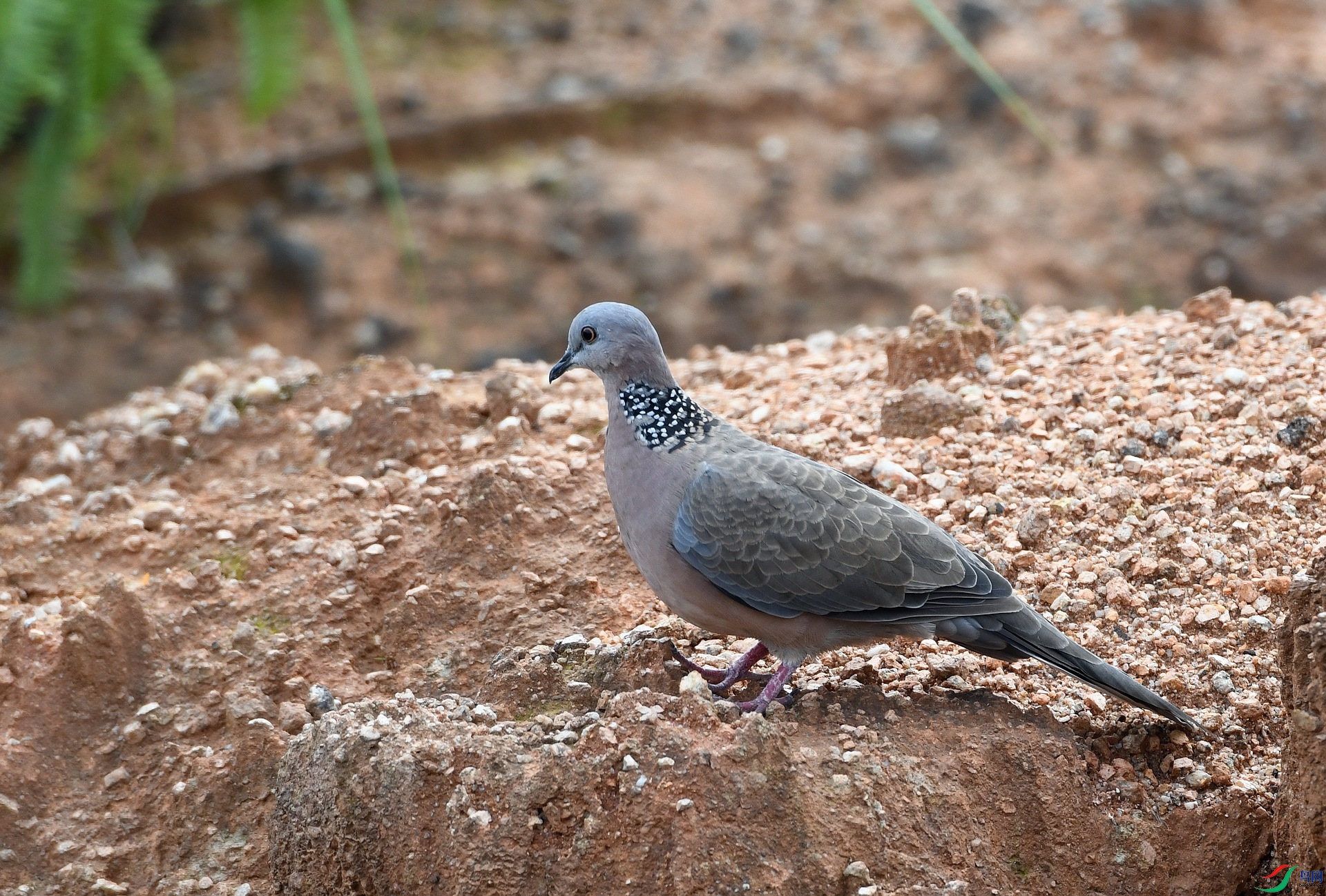 DSC_5648.jpg