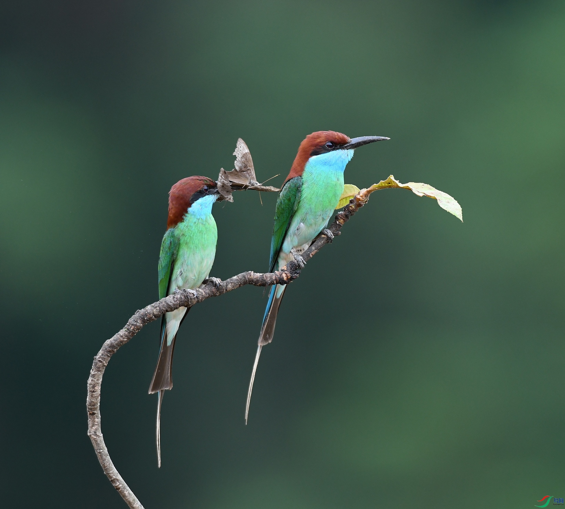 DSC_4462.jpg