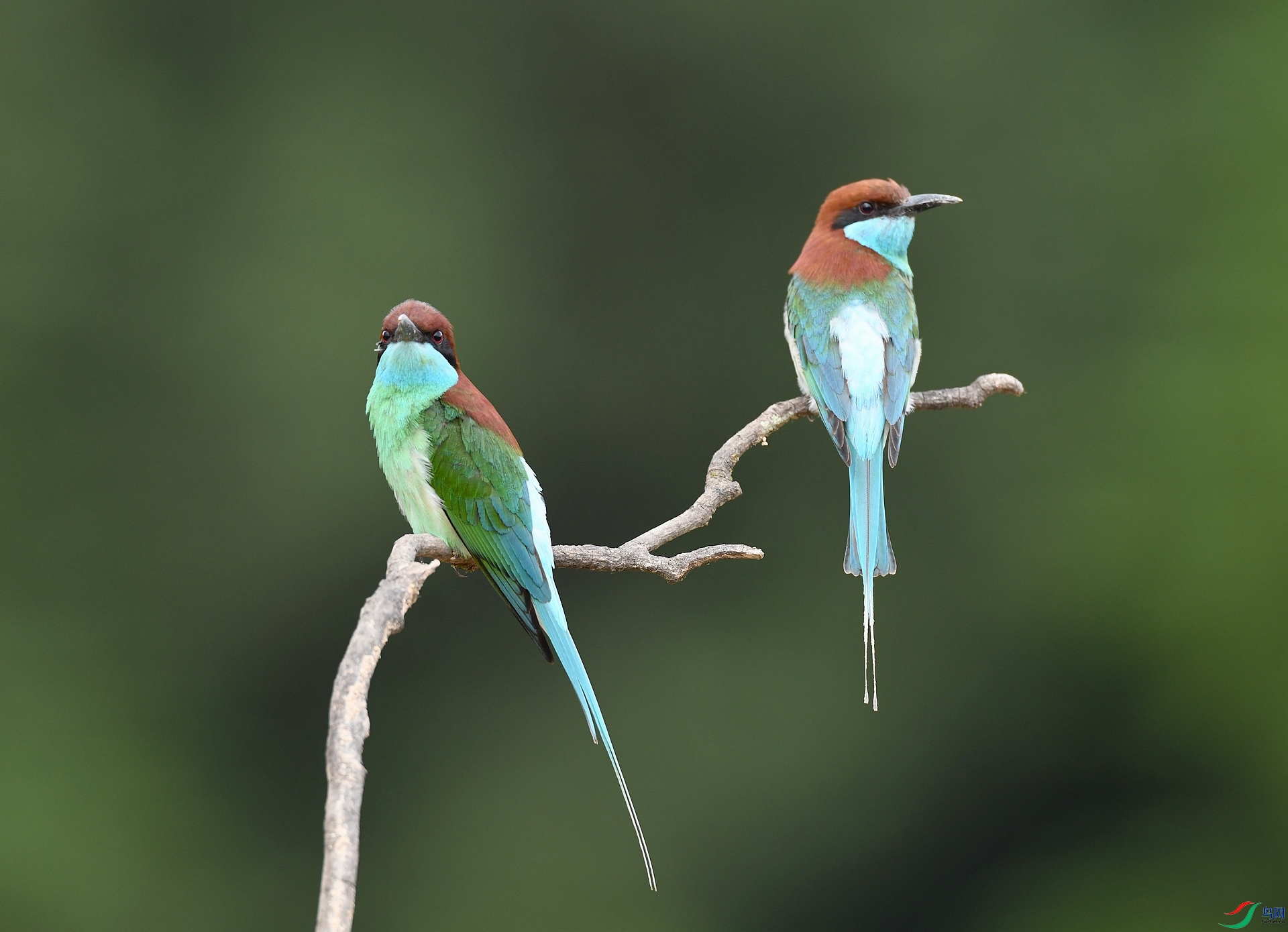 DSC_2774.jpg