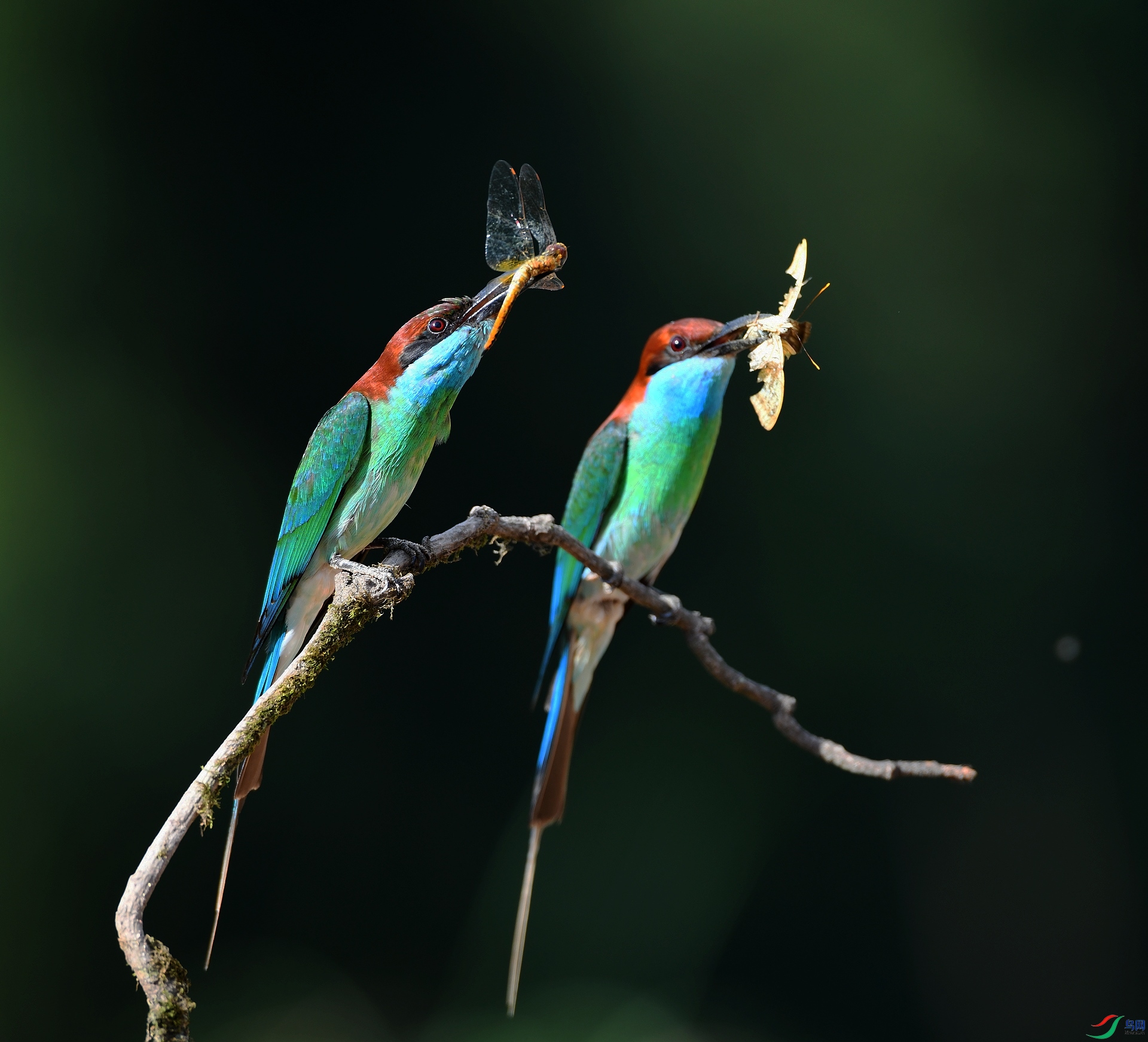 DSC_6646.jpg