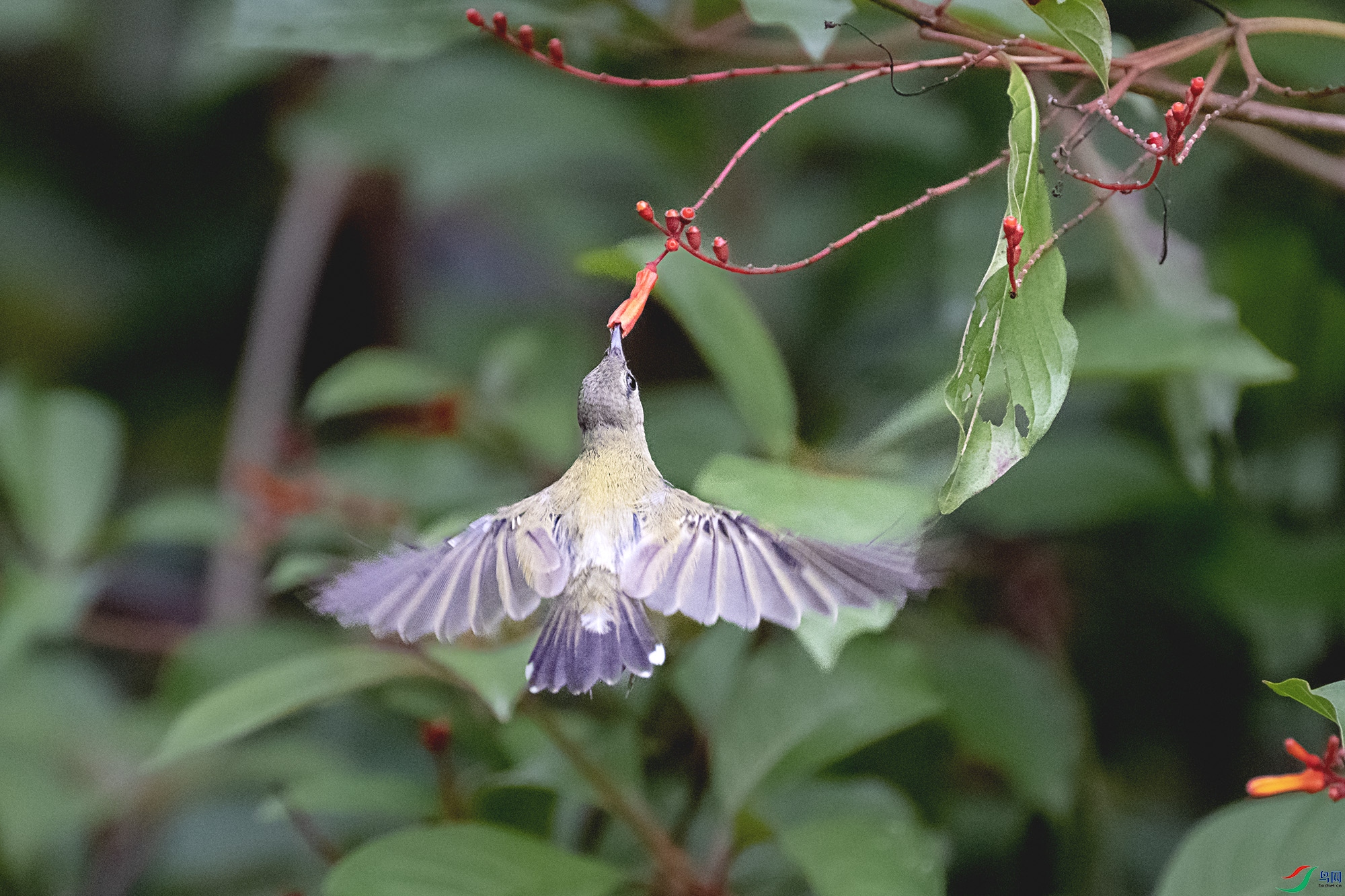 DSC_3568.jpg