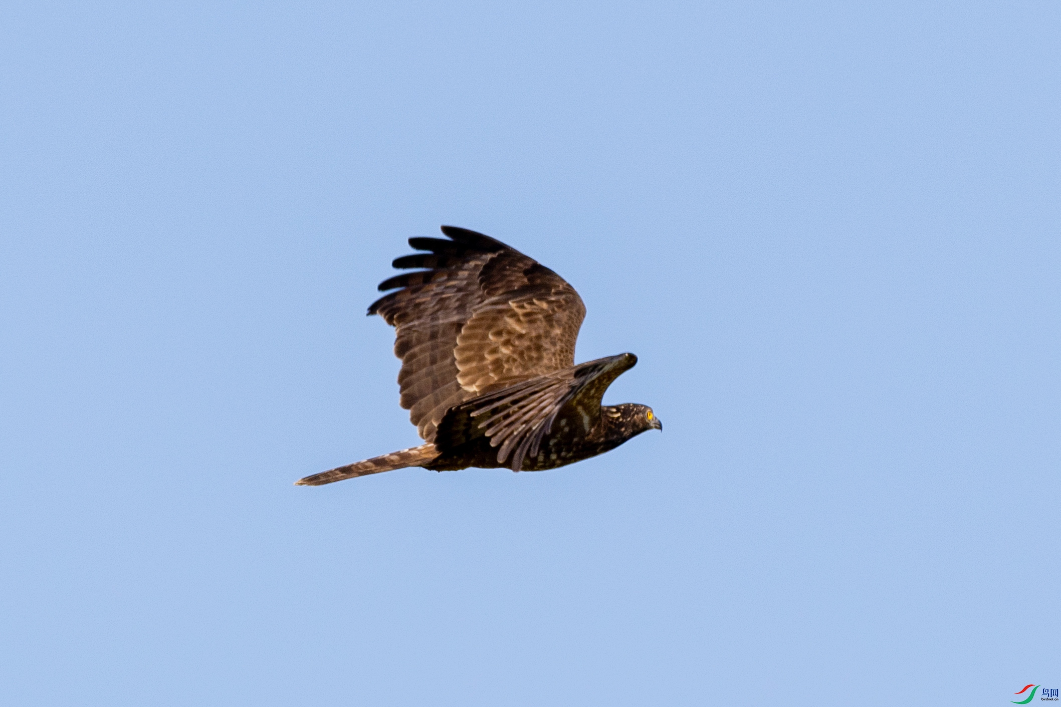 1E1A9746.jpg