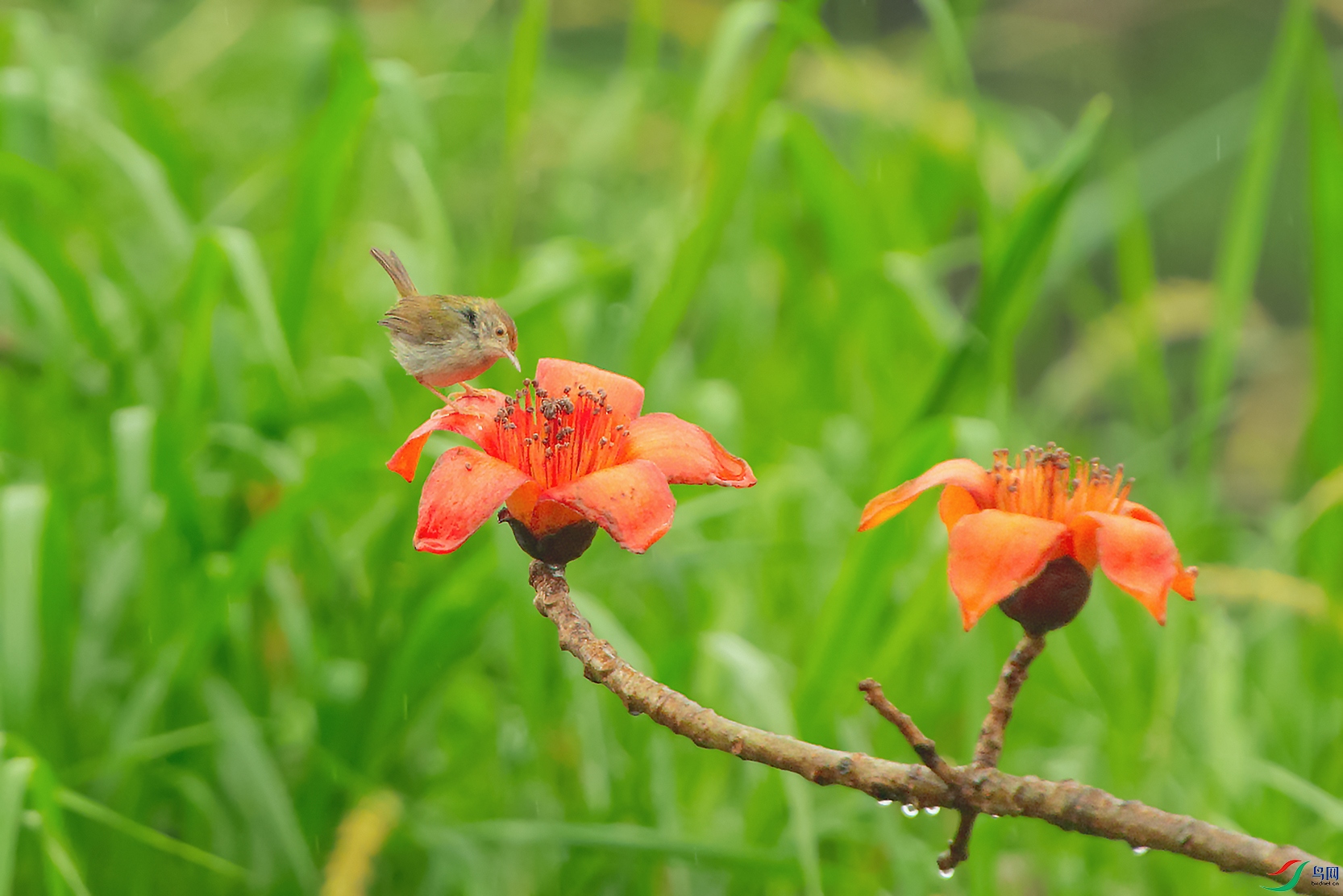 DSC_0884_DxOa.jpg
