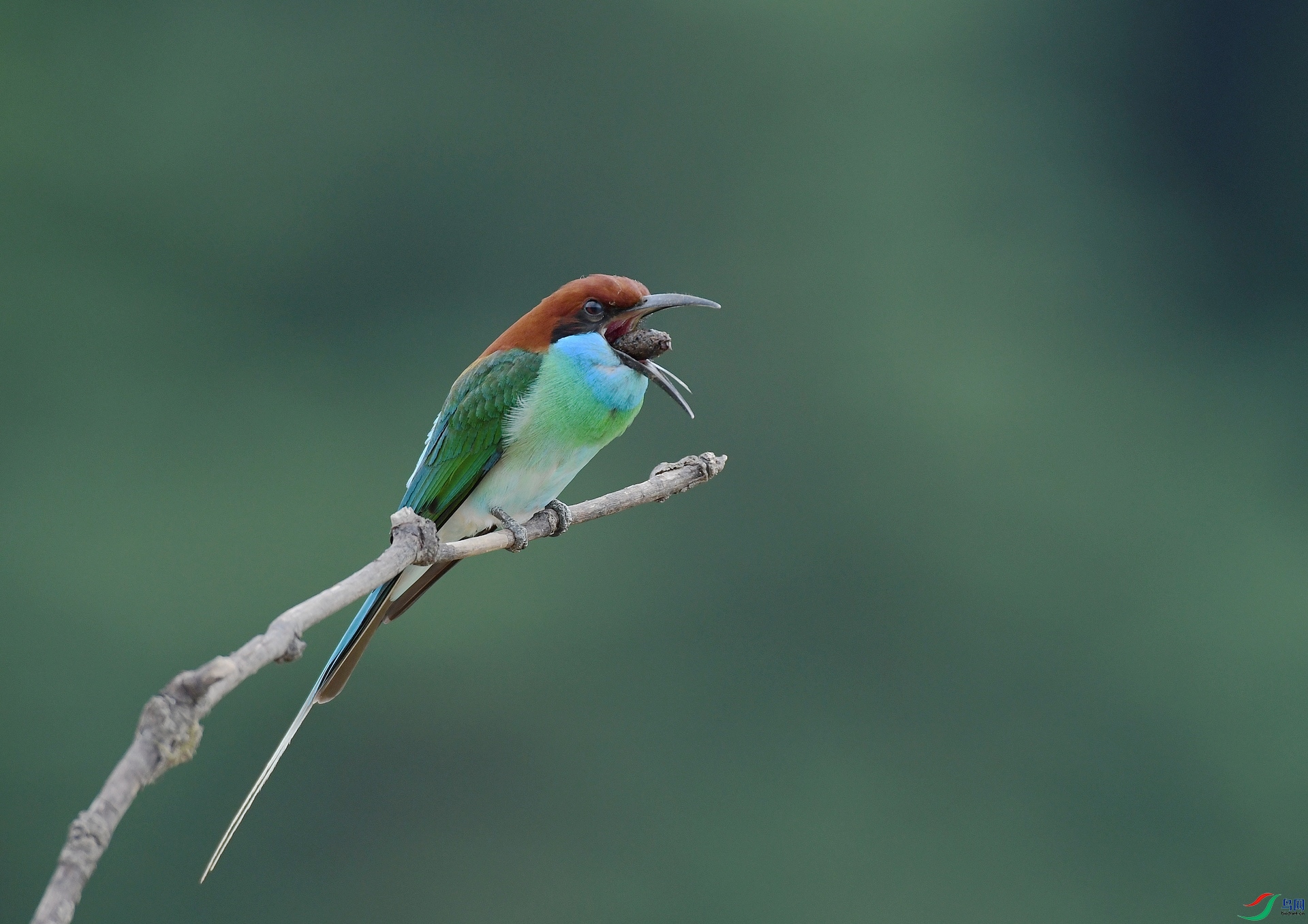 DSC_5764.jpg
