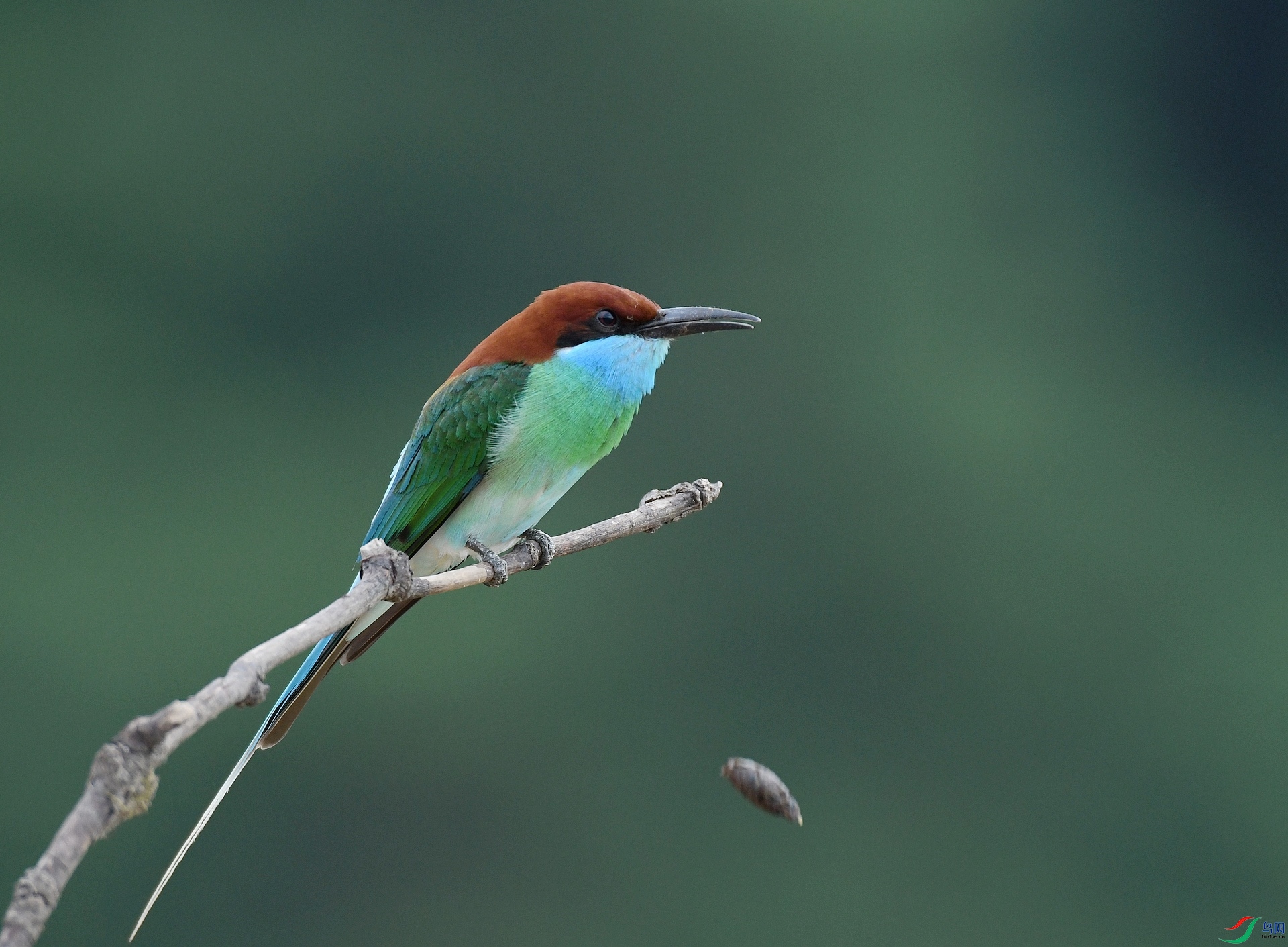 DSC_5765.jpg