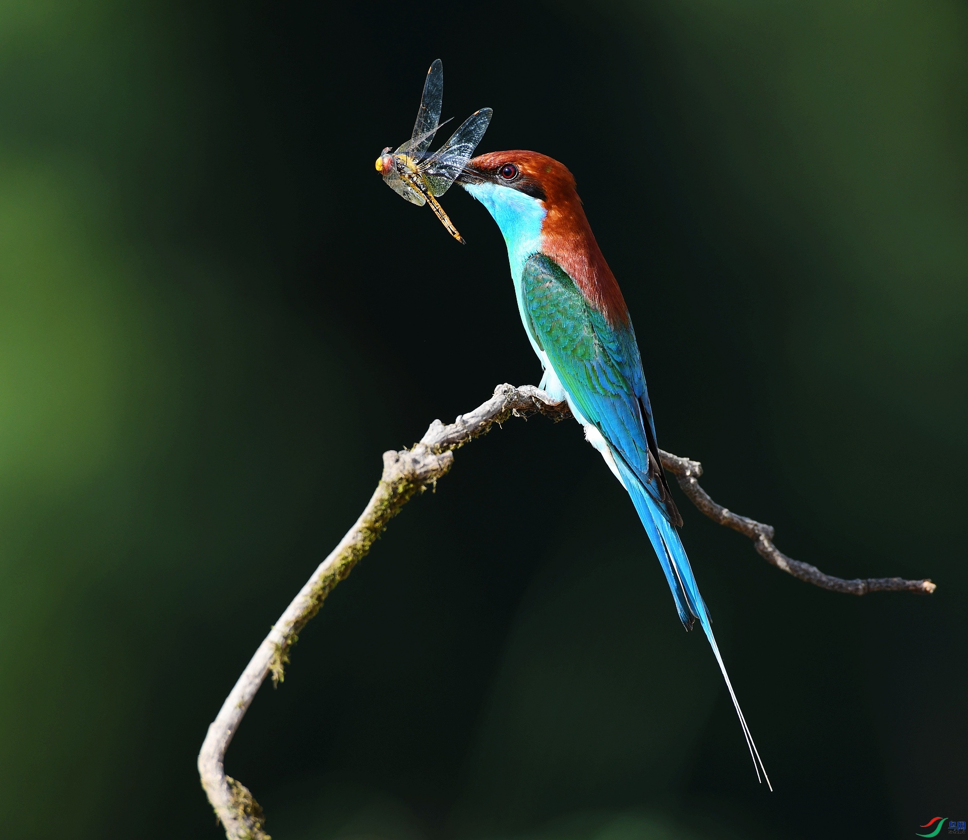 DSC_6580.jpg