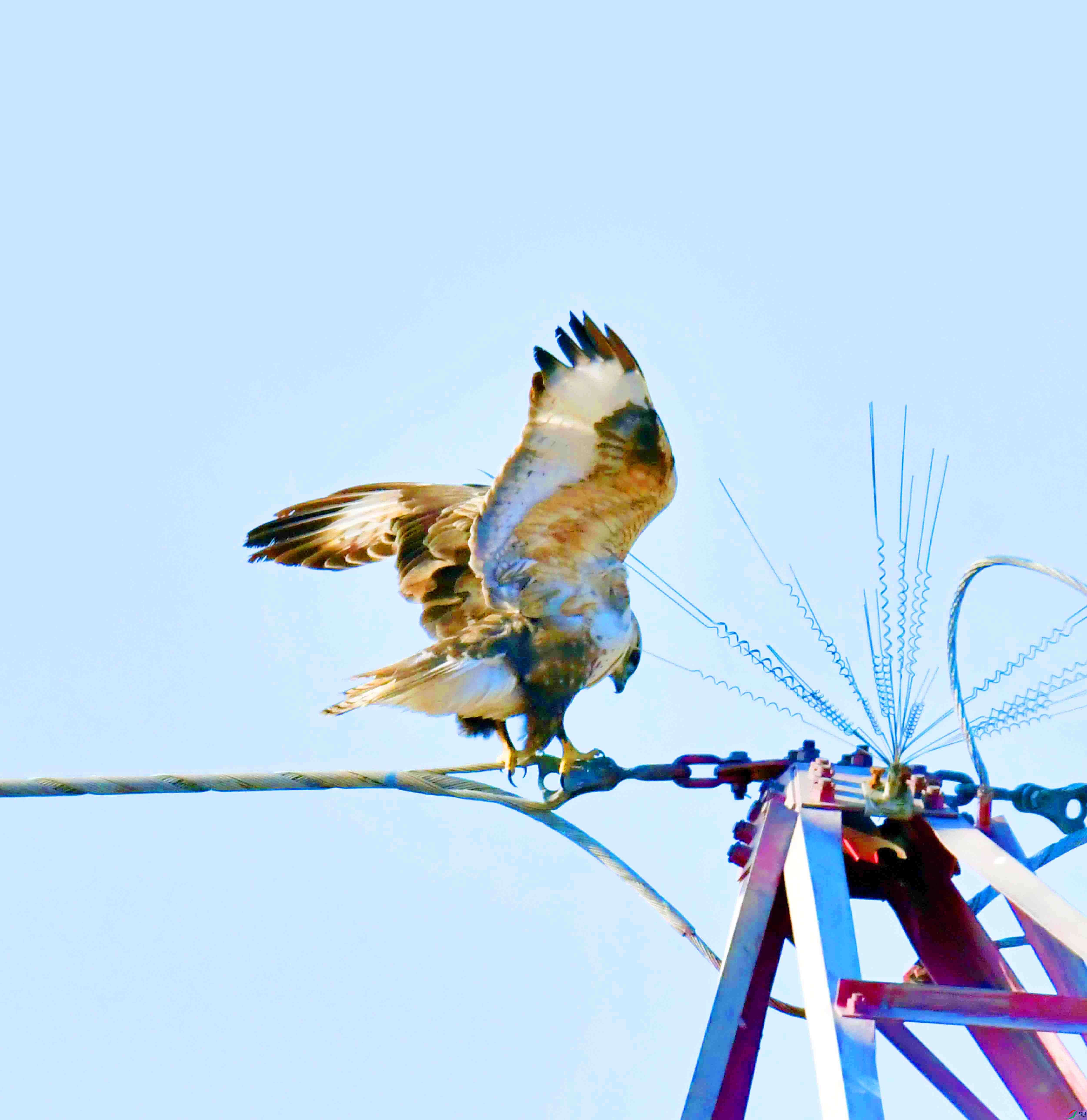 DSC_1459.JPG