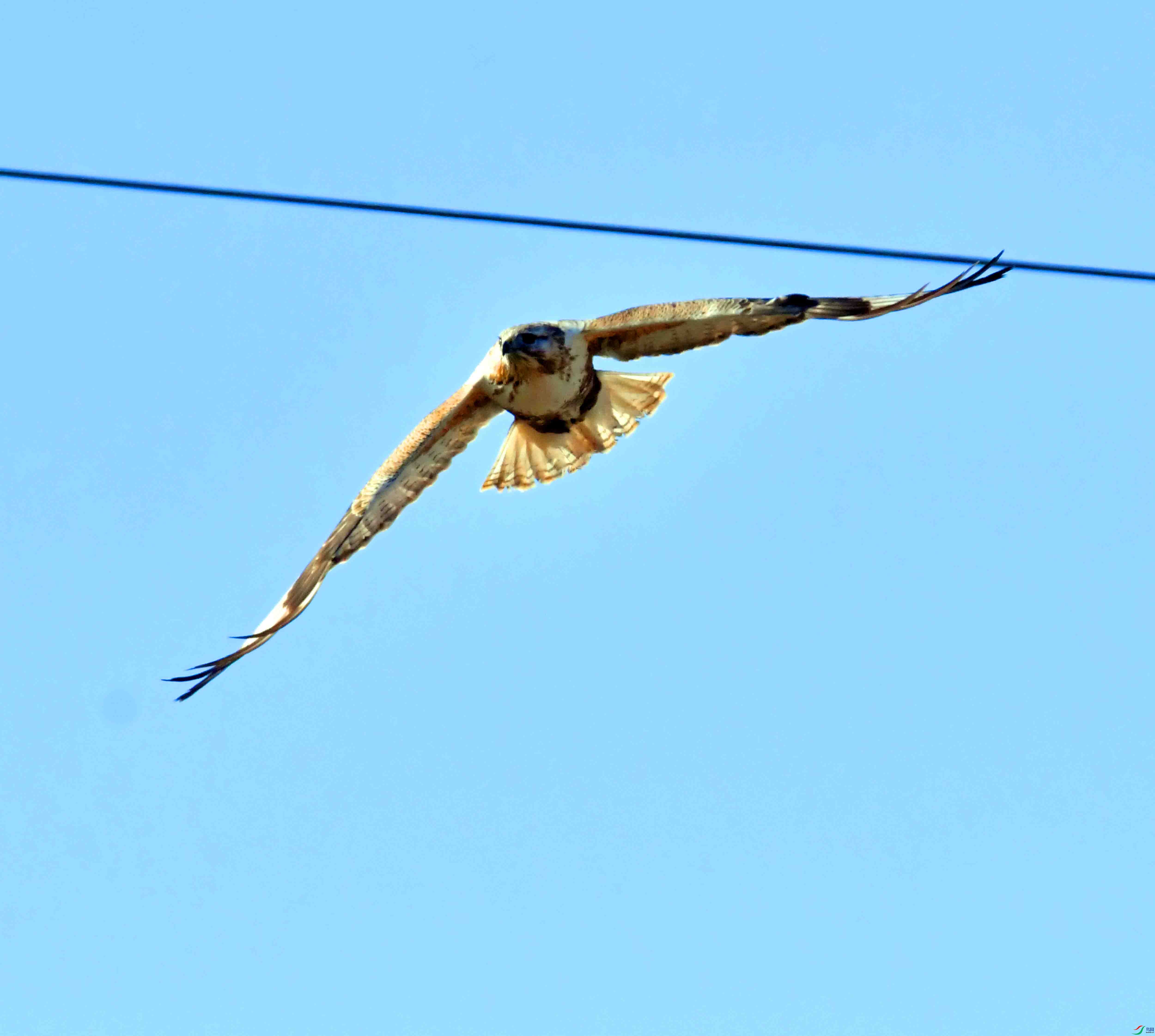 DSC_1476.JPG