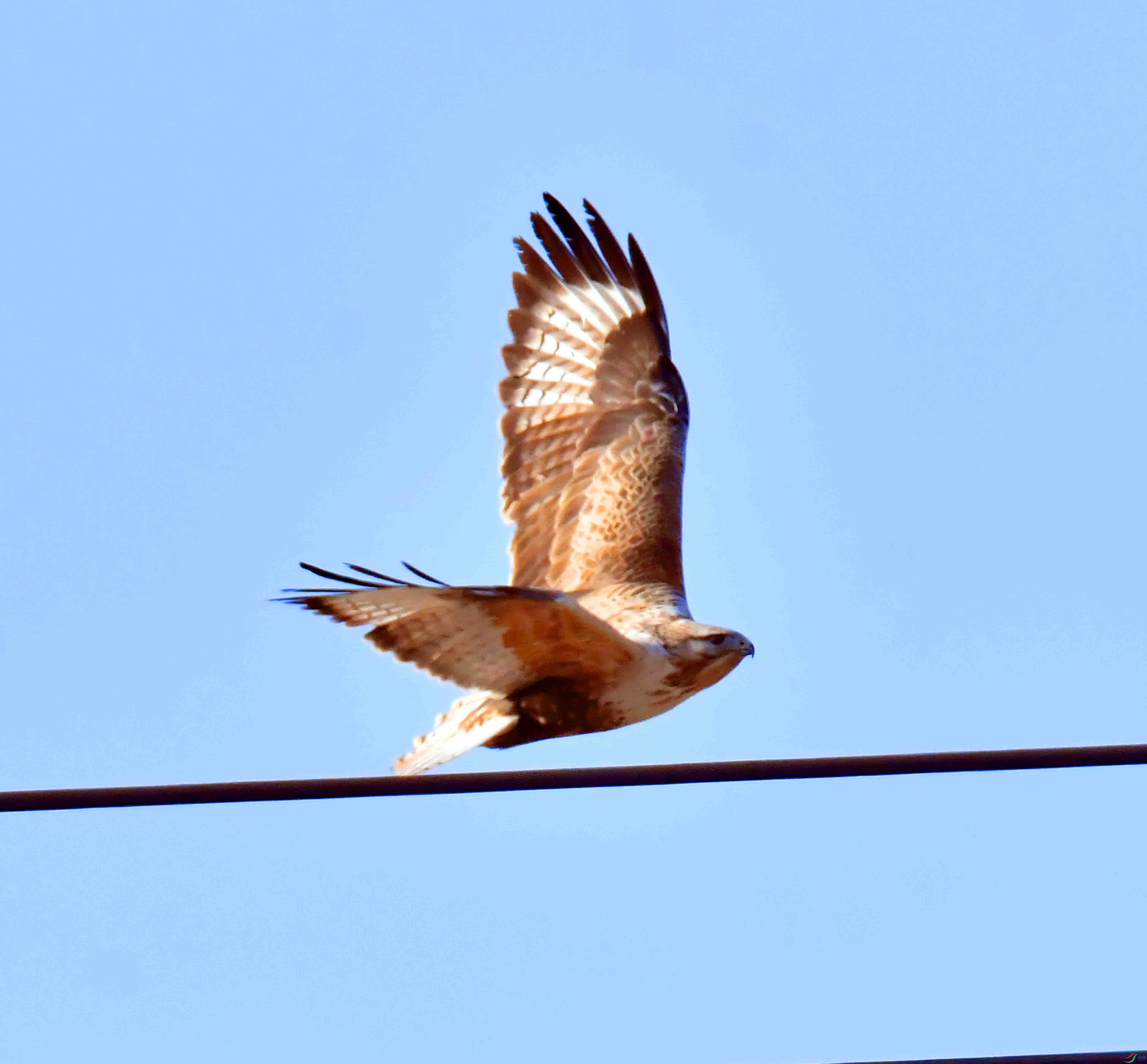 DSC_1482.JPG