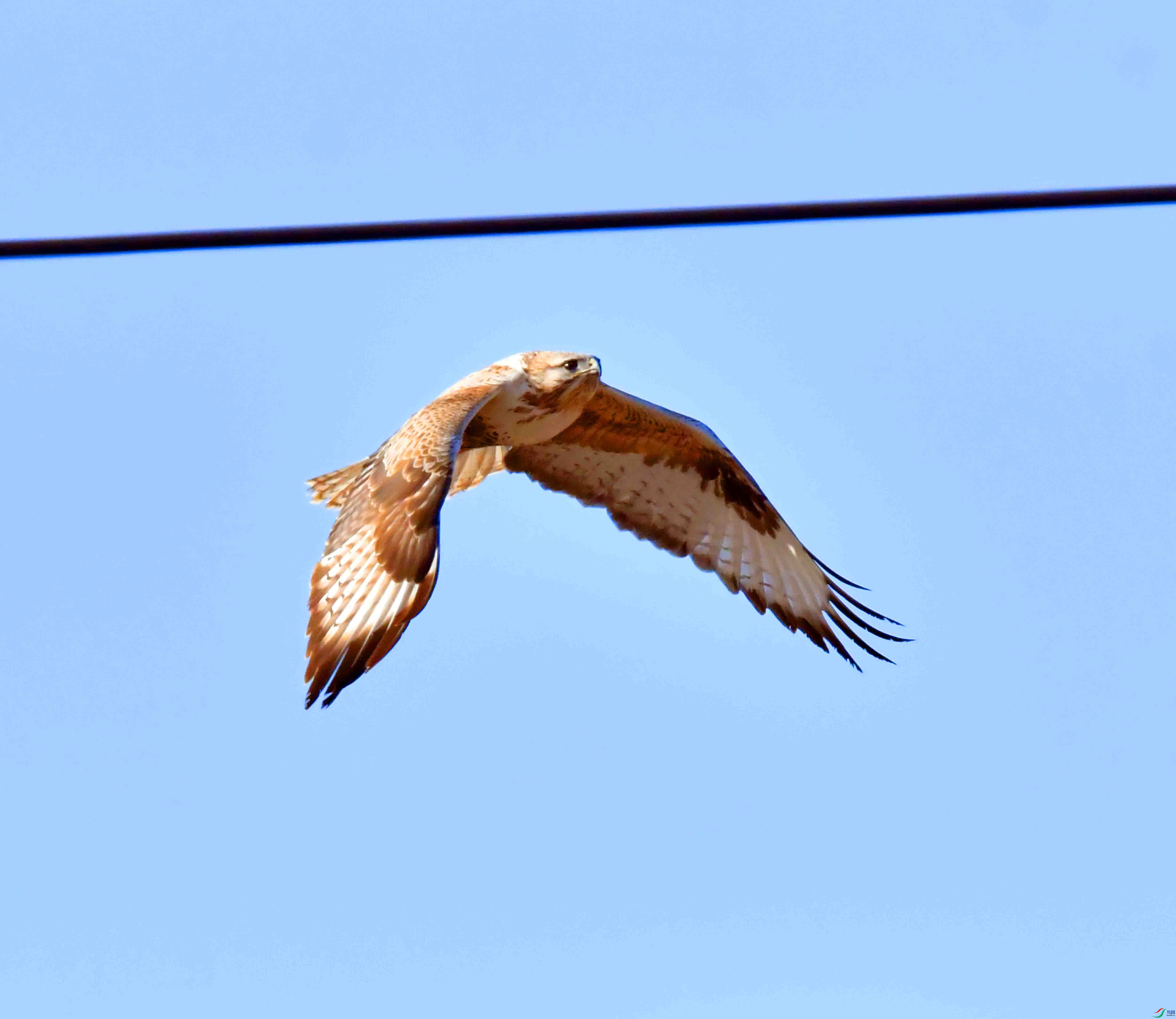 DSC_1484.JPG