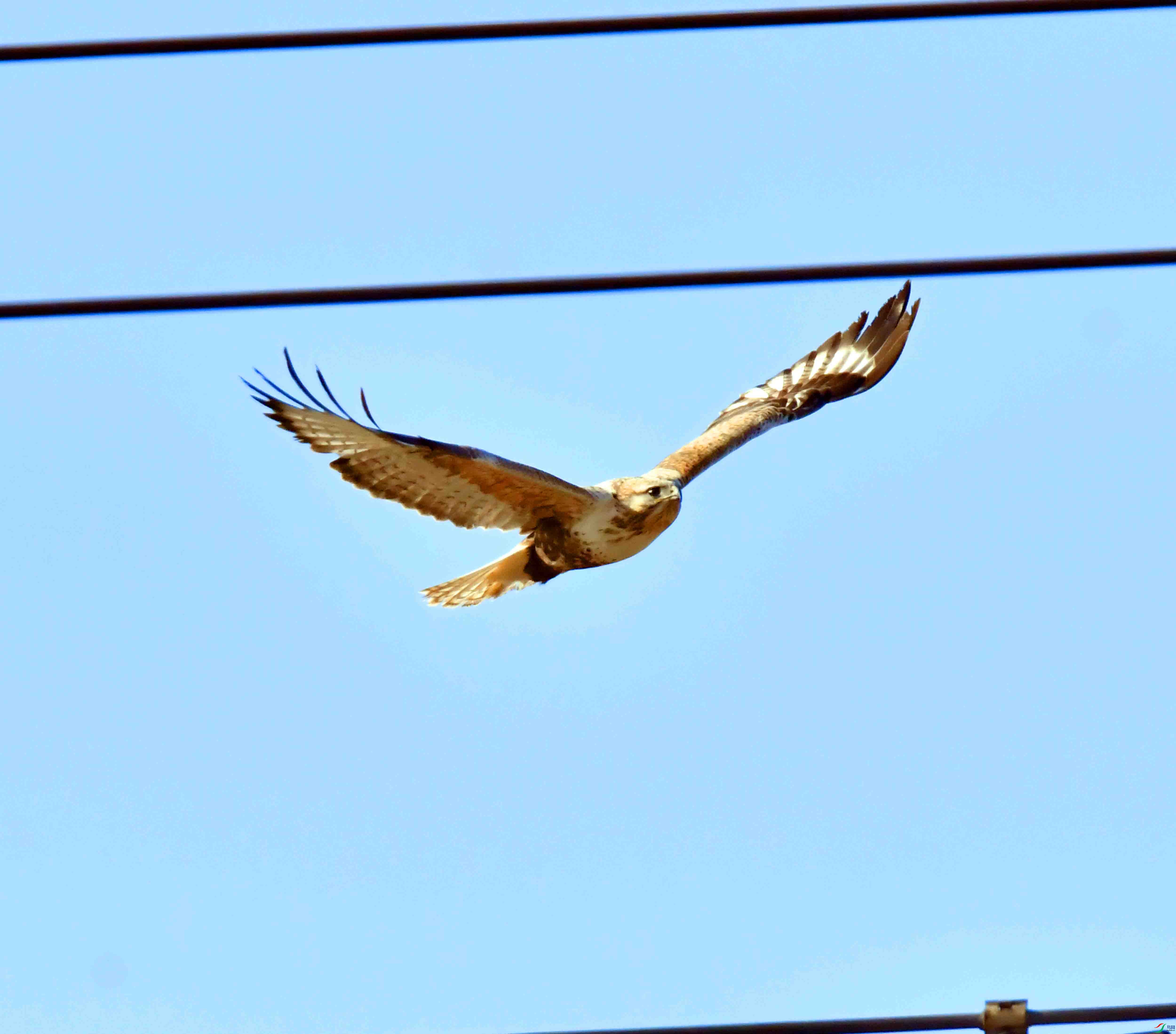 DSC_1483.JPG