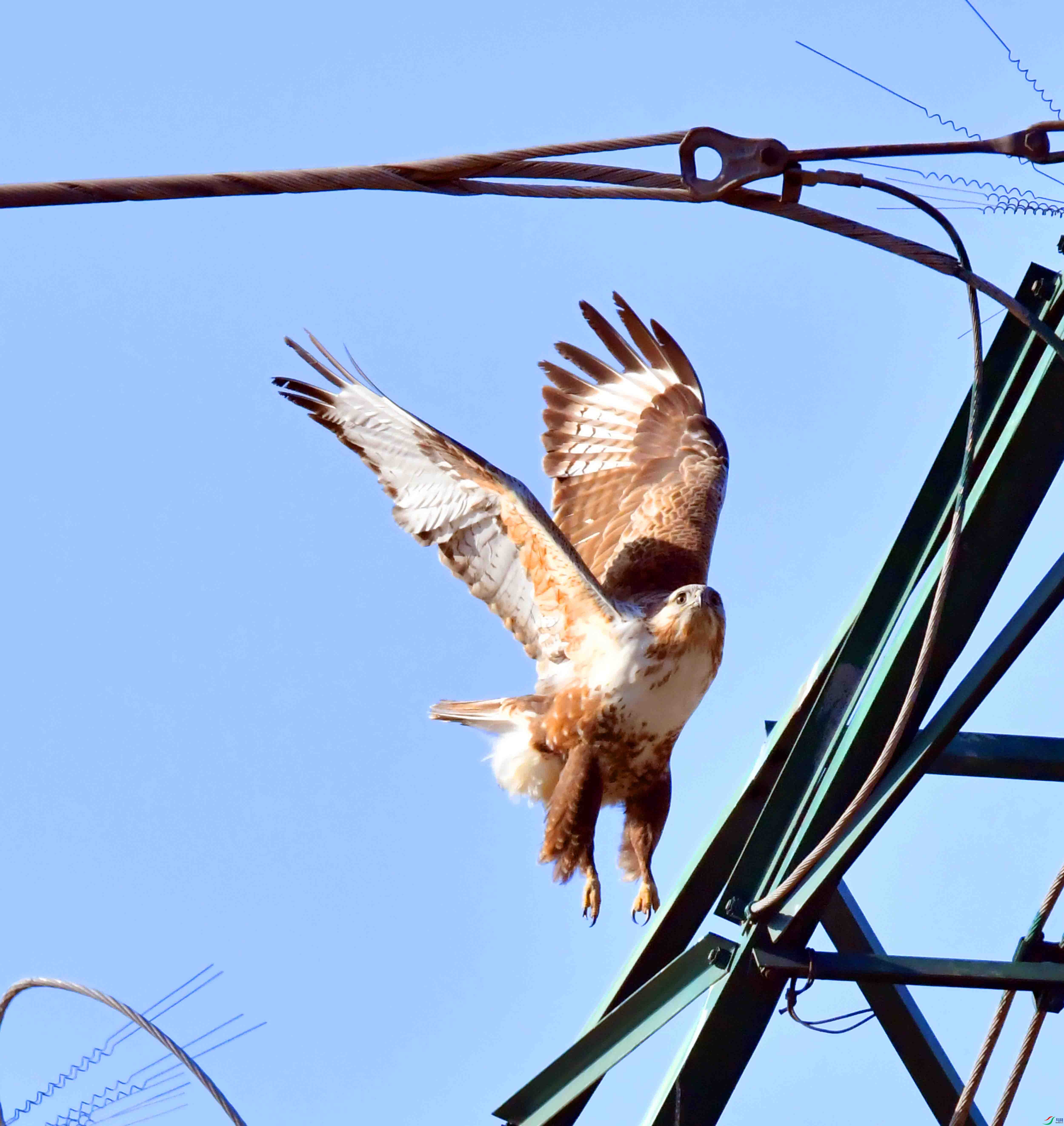 DSC_1496.JPG
