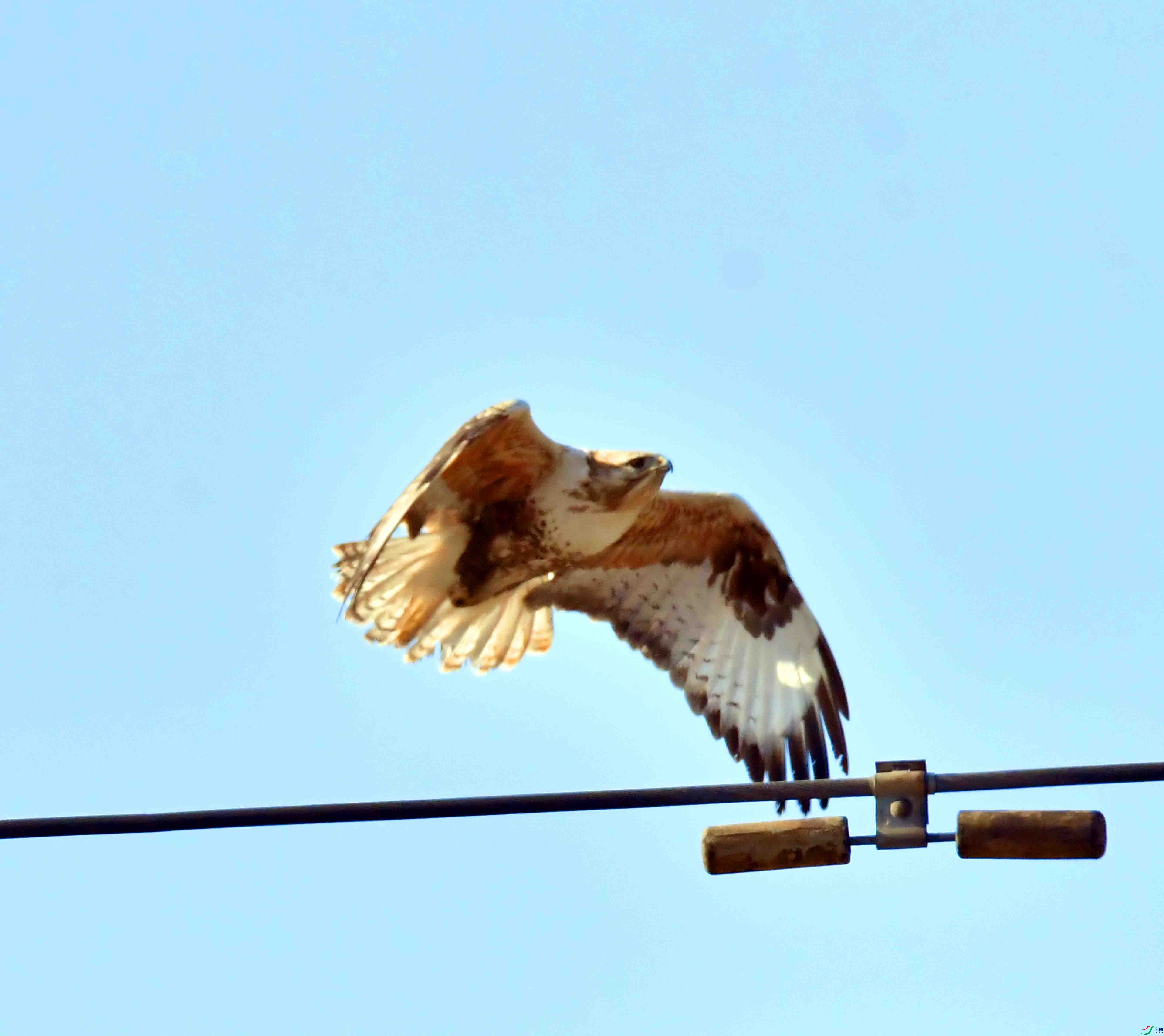DSC_1485.JPG