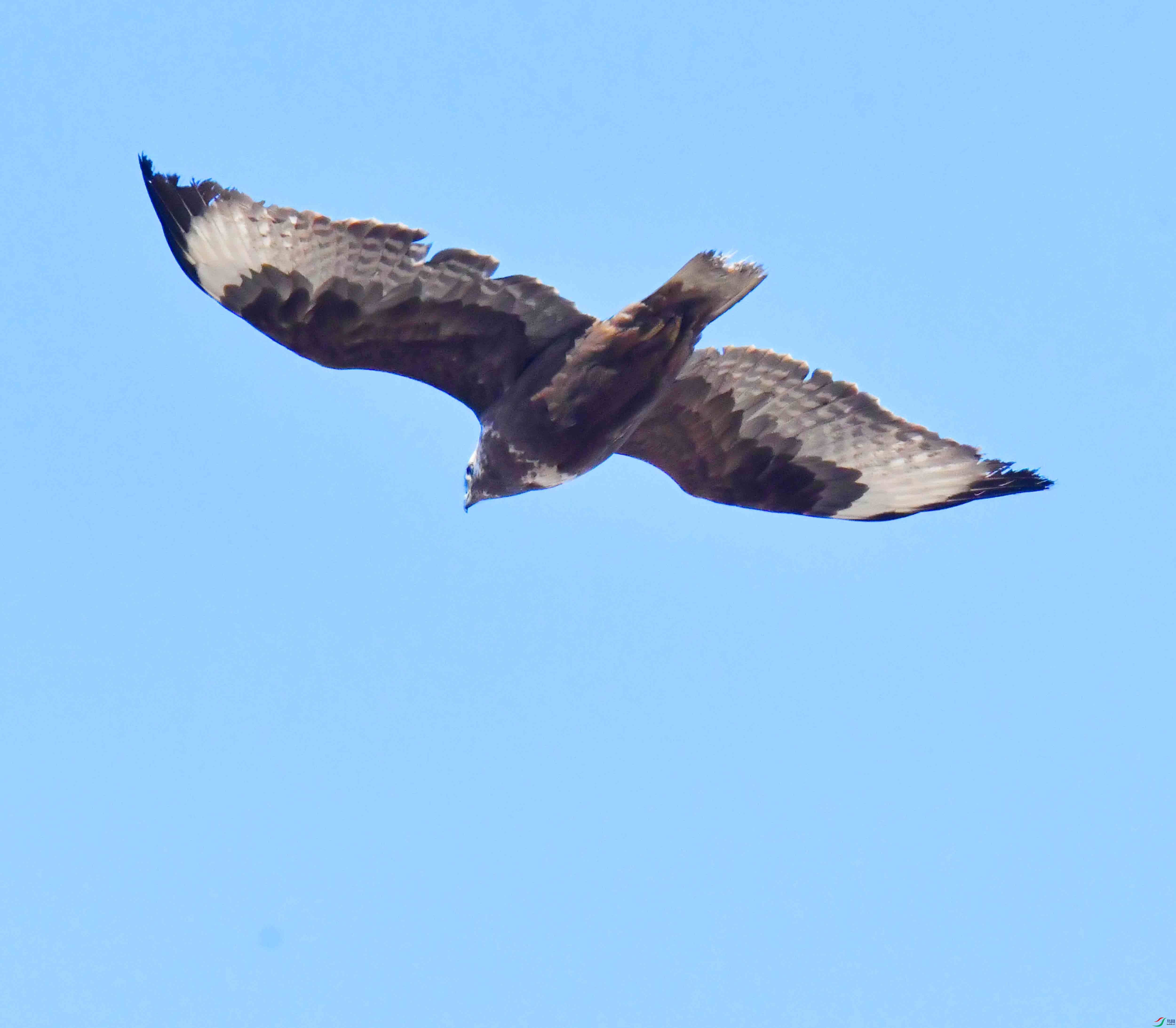 DSC_4522.JPG