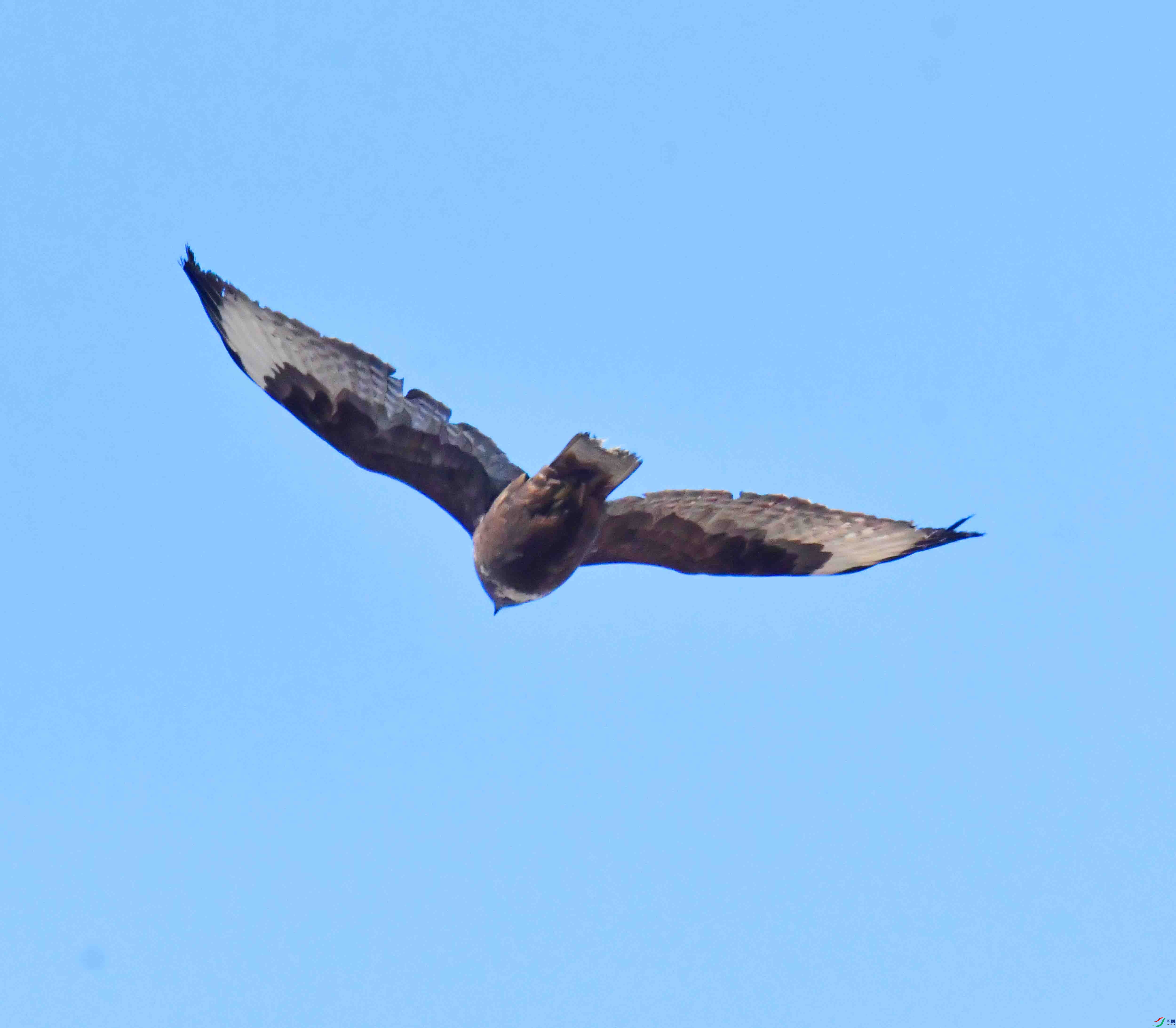 DSC_4527.JPG