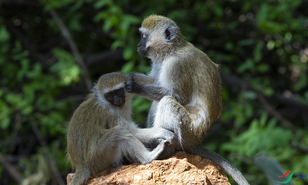 ���޺����� (15).jpg